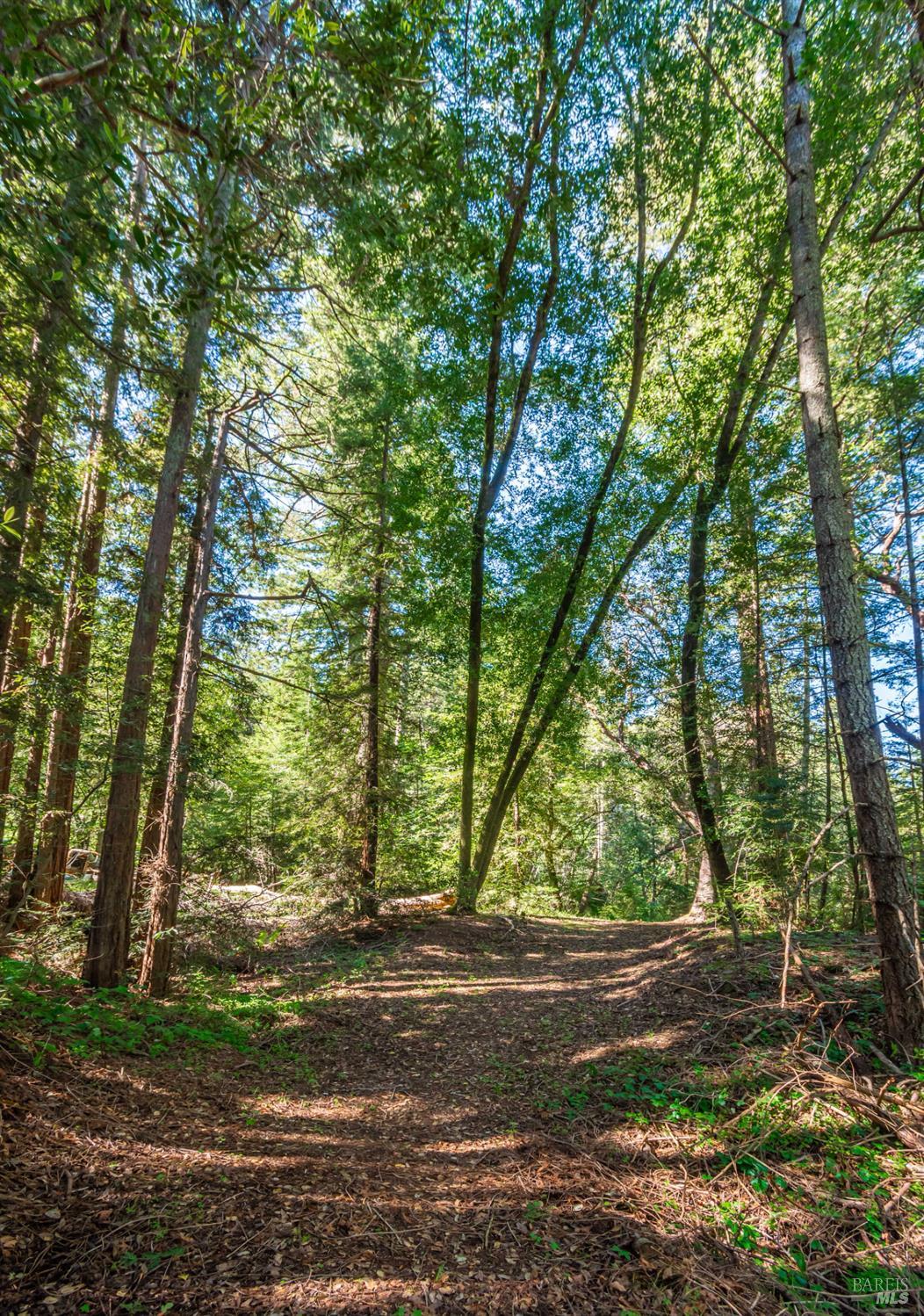 Detail Gallery Image 40 of 98 For 0 Dry Creek Rd, Napa,  CA 94558 - – Beds | – Baths