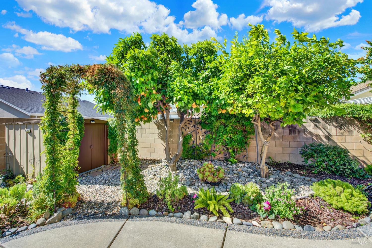 Detail Gallery Image 53 of 72 For 367 Bartlett Ln, Vacaville,  CA 95687 - 3 Beds | 2 Baths