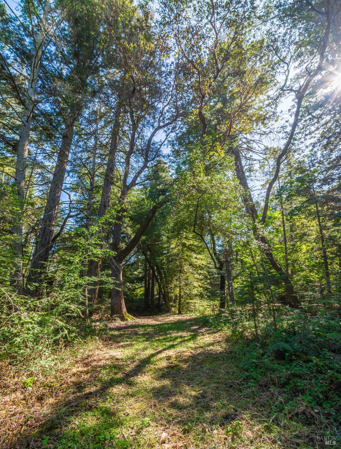 Detail Gallery Image 41 of 98 For 0 Dry Creek Rd, Napa,  CA 94558 - – Beds | – Baths