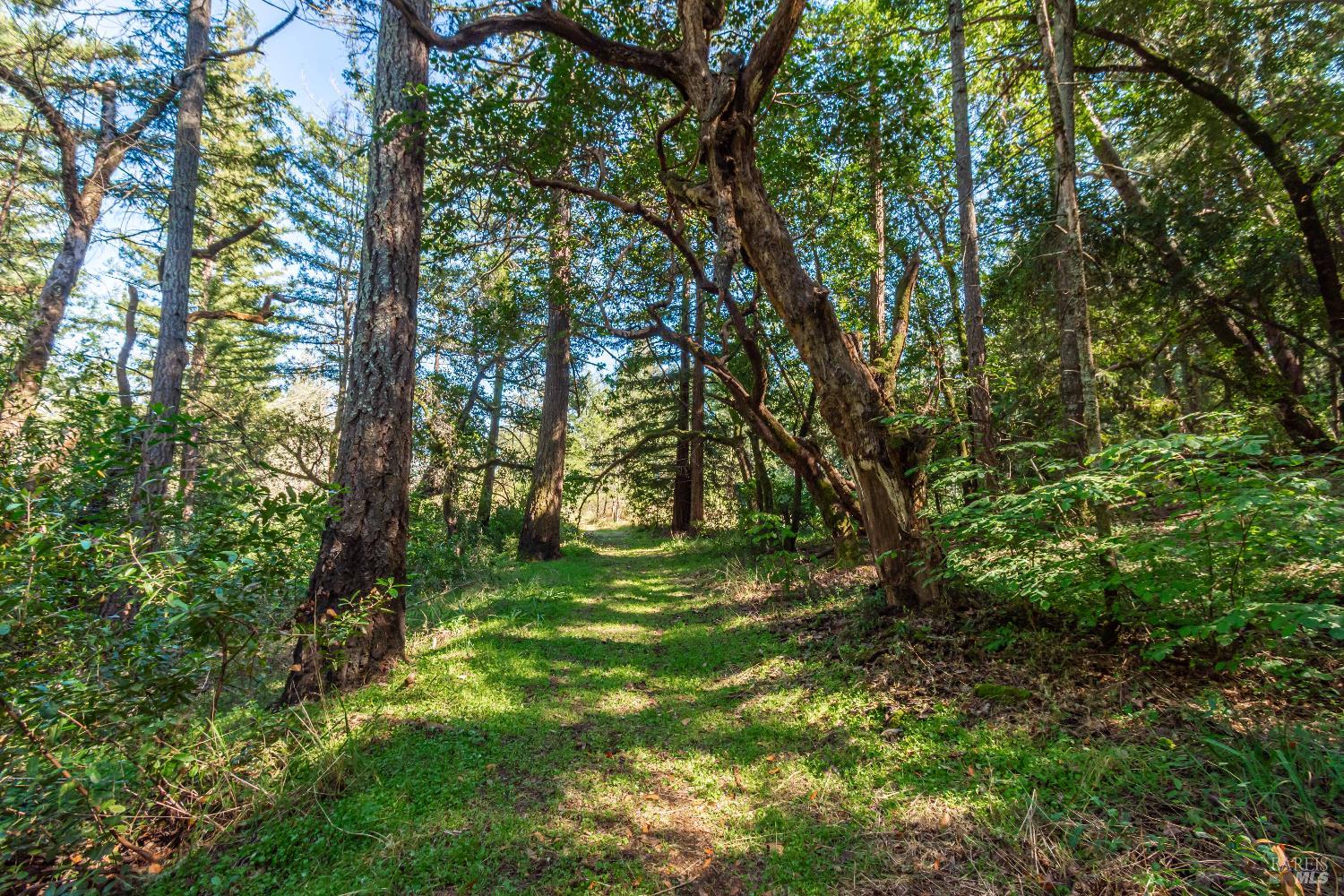 Detail Gallery Image 64 of 98 For 0 Dry Creek Rd, Napa,  CA 94558 - – Beds | – Baths