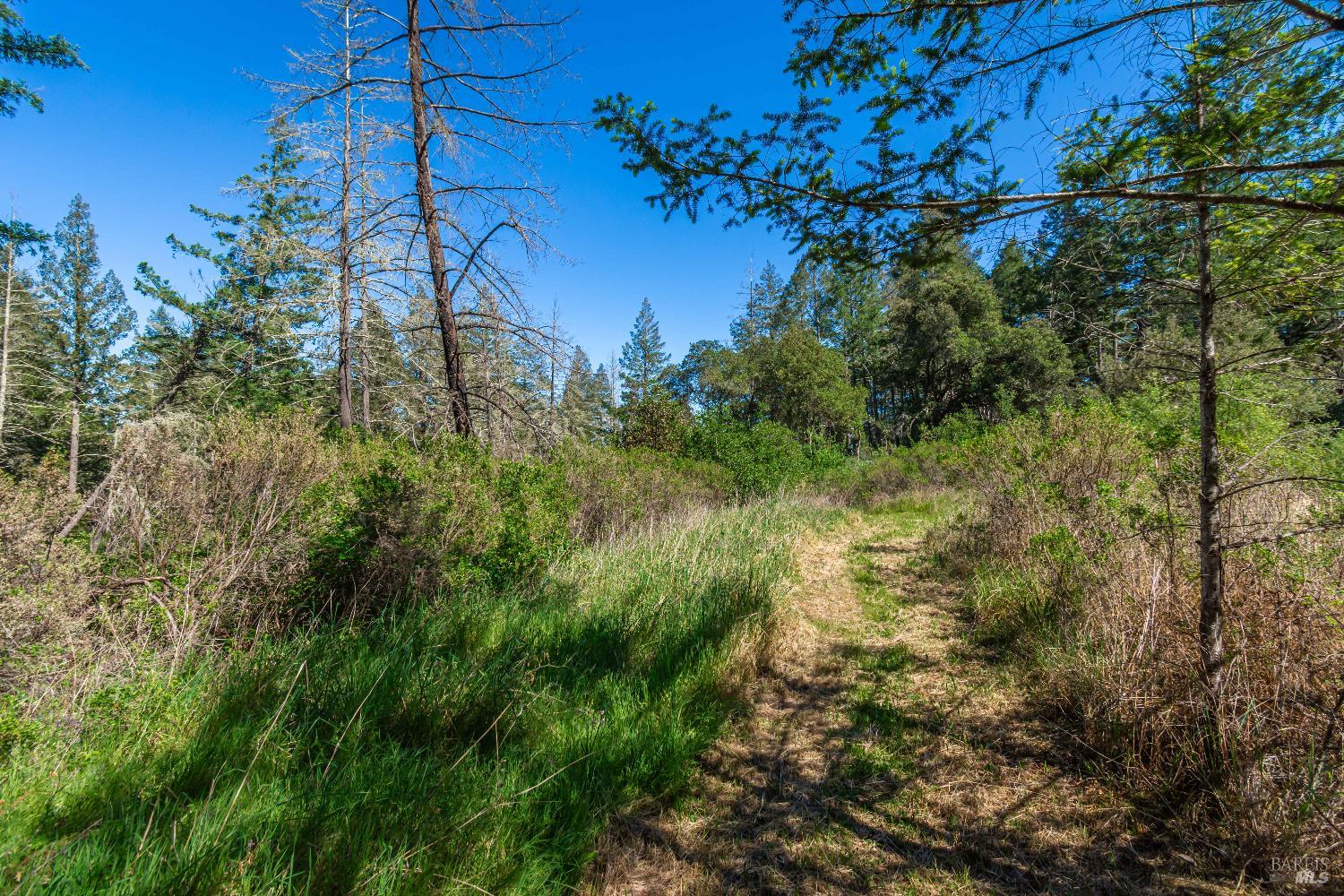 Detail Gallery Image 55 of 98 For 0 Dry Creek Rd, Napa,  CA 94558 - – Beds | – Baths