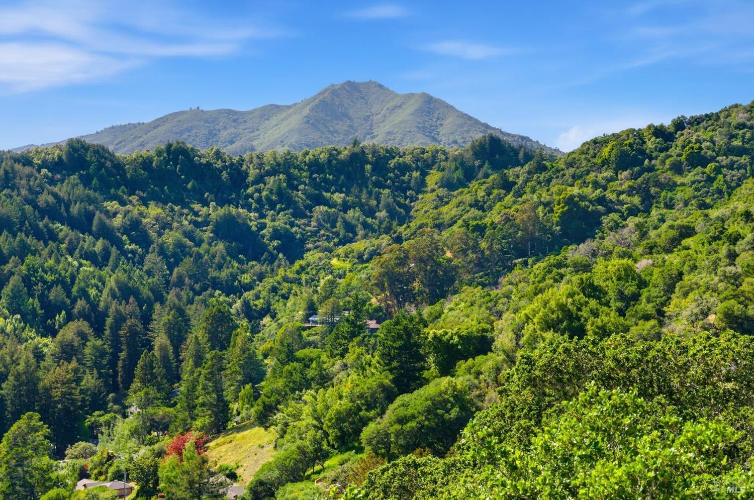 Detail Gallery Image 63 of 65 For 41 Magdalena Ct, Mill Valley,  CA 94941 - 5 Beds | 3/1 Baths