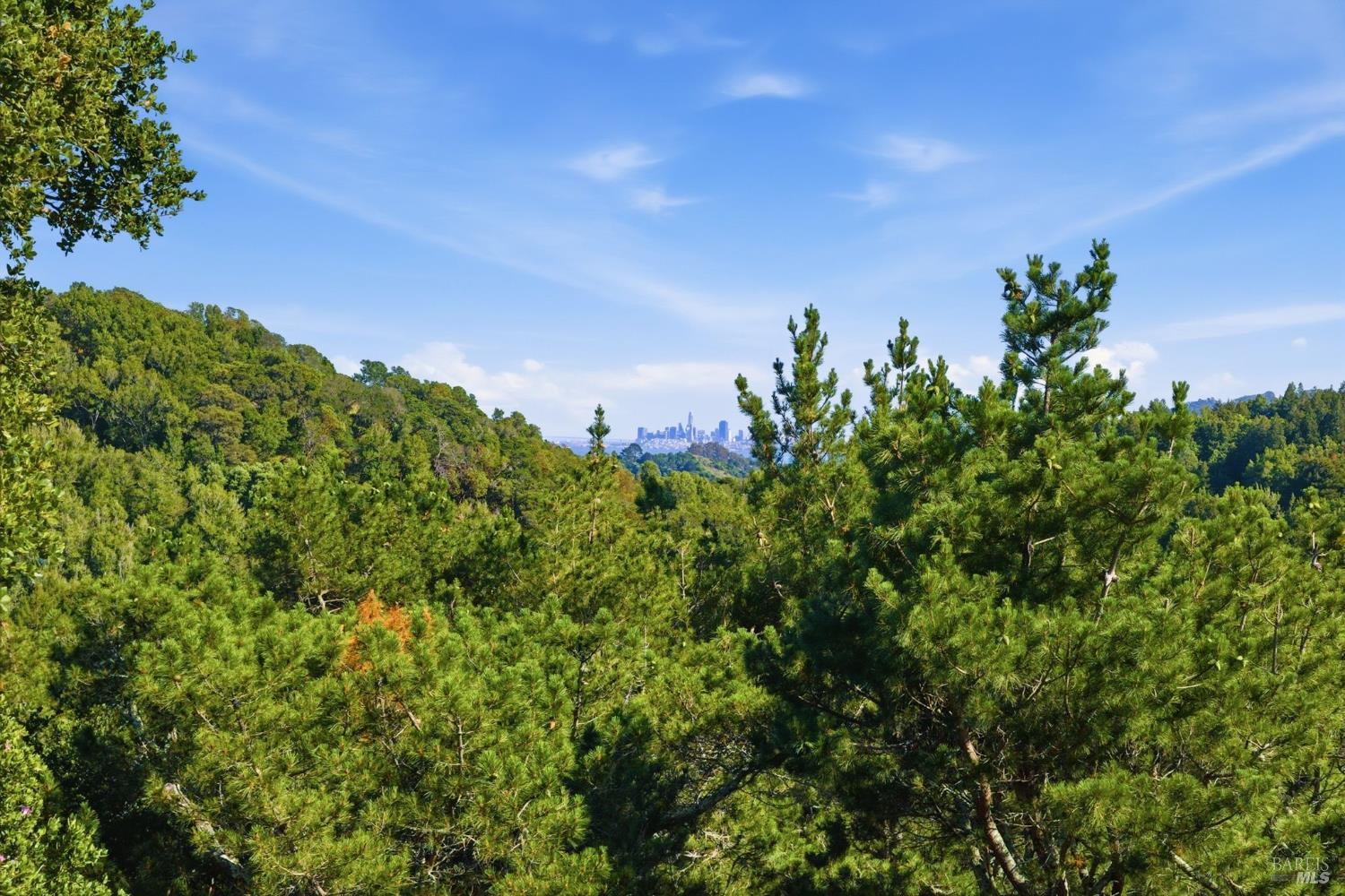 Detail Gallery Image 60 of 65 For 41 Magdalena Ct, Mill Valley,  CA 94941 - 5 Beds | 3/1 Baths