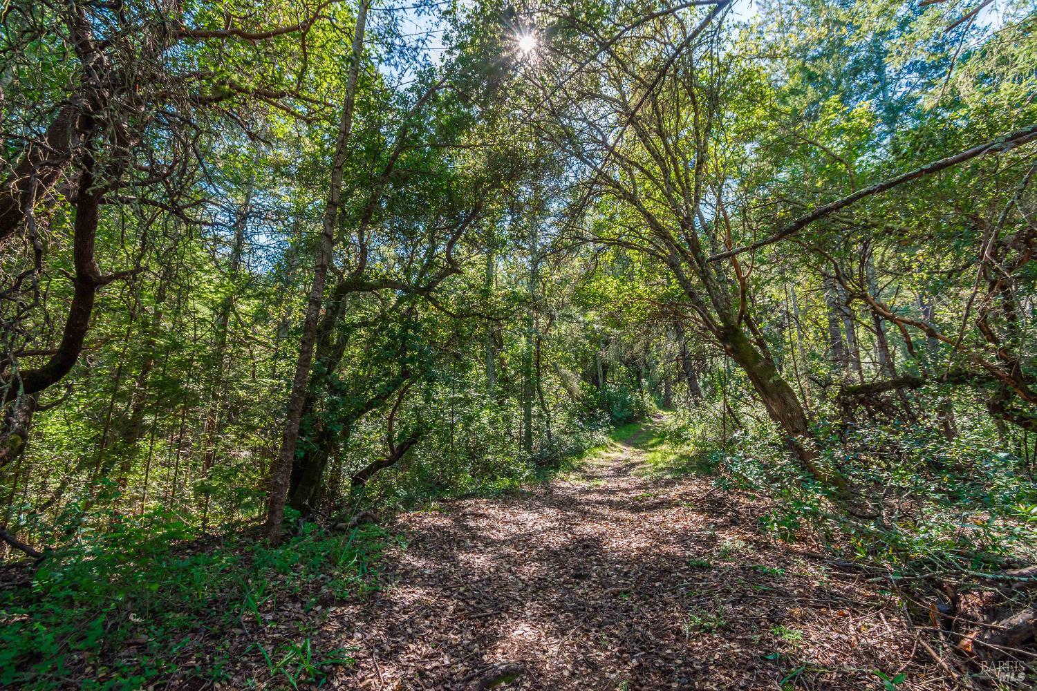 Detail Gallery Image 68 of 98 For 0 Dry Creek Rd, Napa,  CA 94558 - – Beds | – Baths