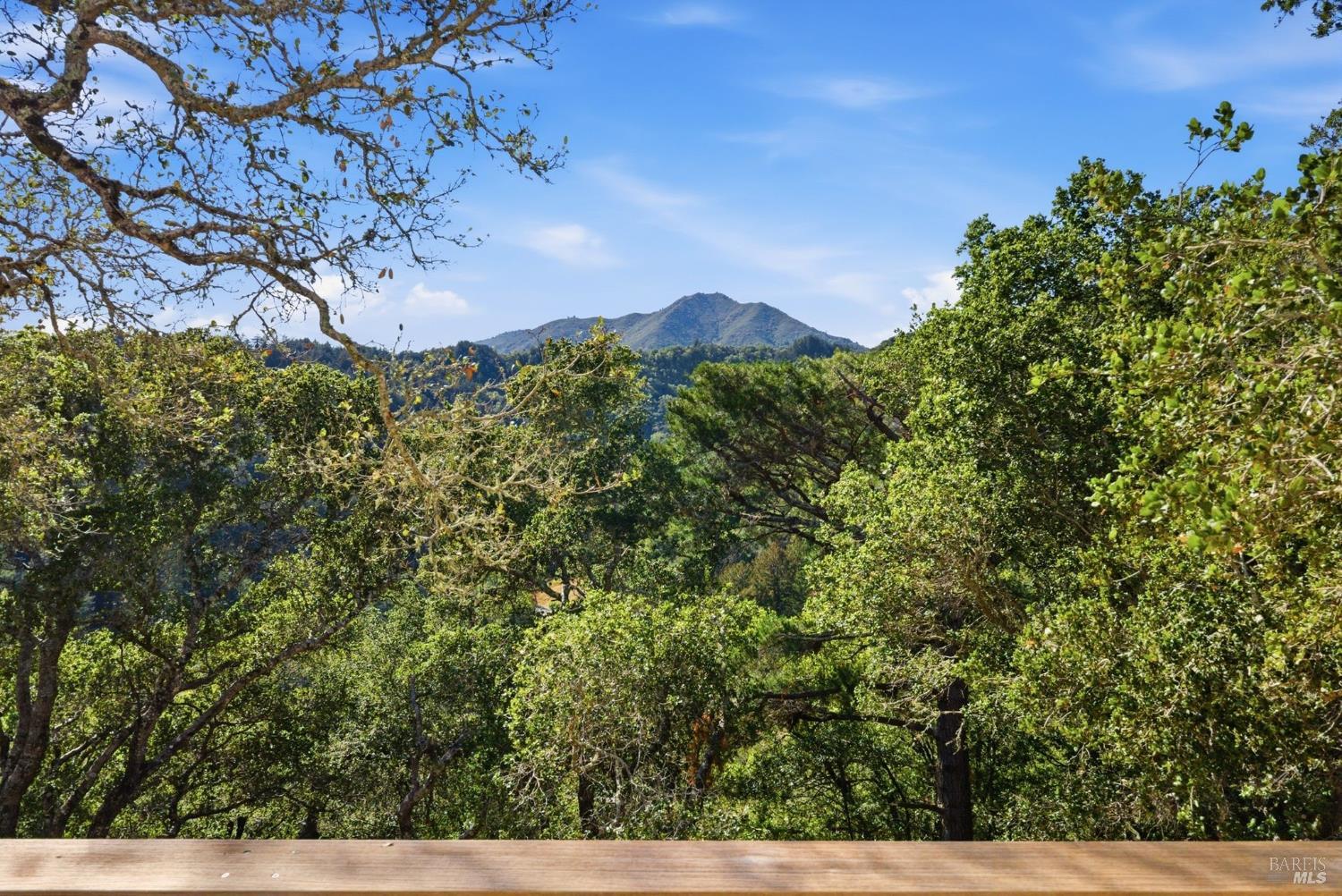Detail Gallery Image 62 of 65 For 41 Magdalena Ct, Mill Valley,  CA 94941 - 5 Beds | 3/1 Baths