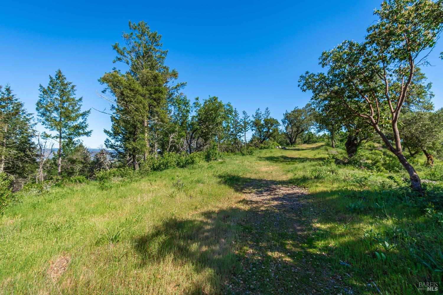 Detail Gallery Image 85 of 98 For 0 Dry Creek Rd, Napa,  CA 94558 - – Beds | – Baths