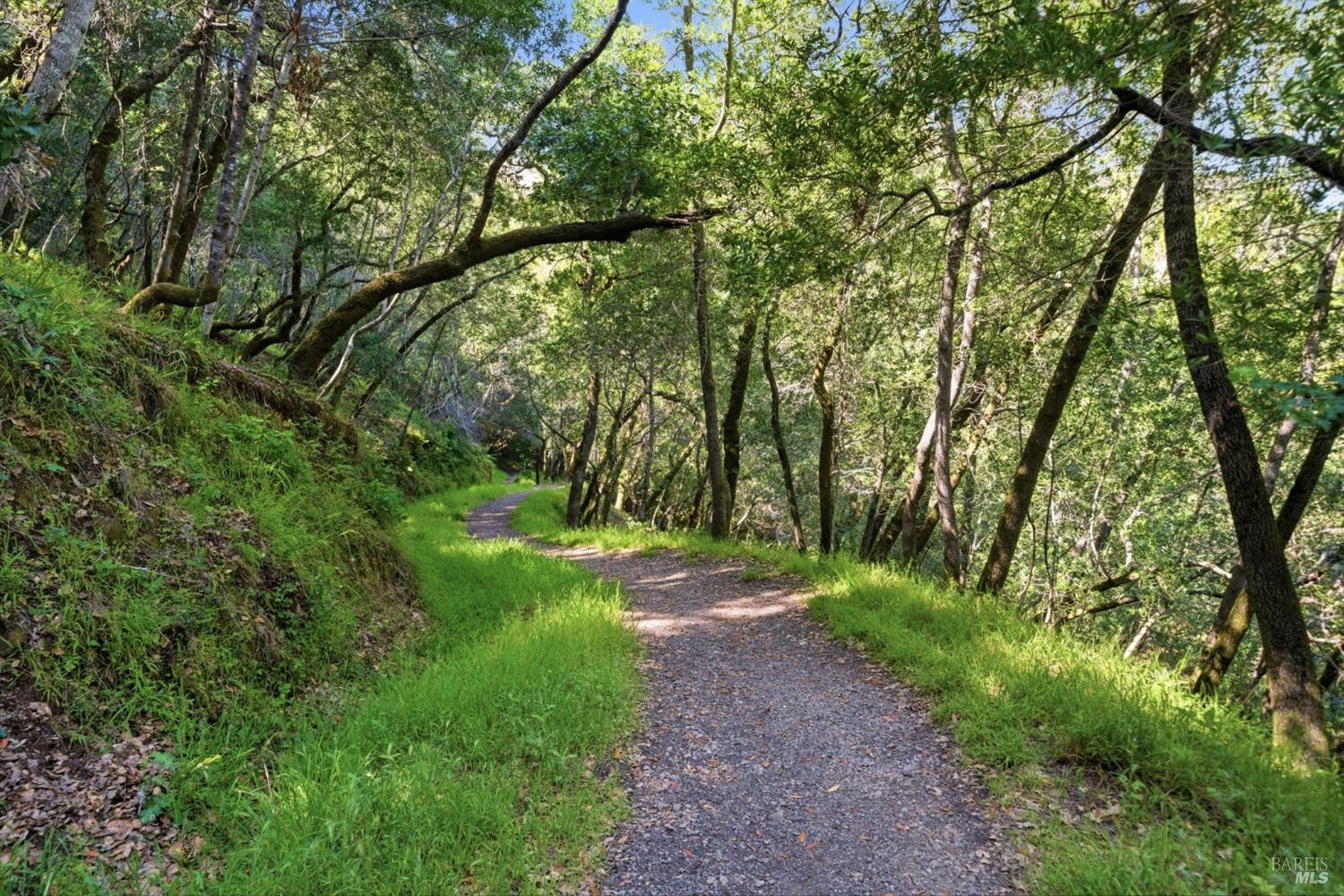 Detail Gallery Image 45 of 61 For 128 Madrone Rd, Fairfax,  CA 94930 - 4 Beds | 2 Baths