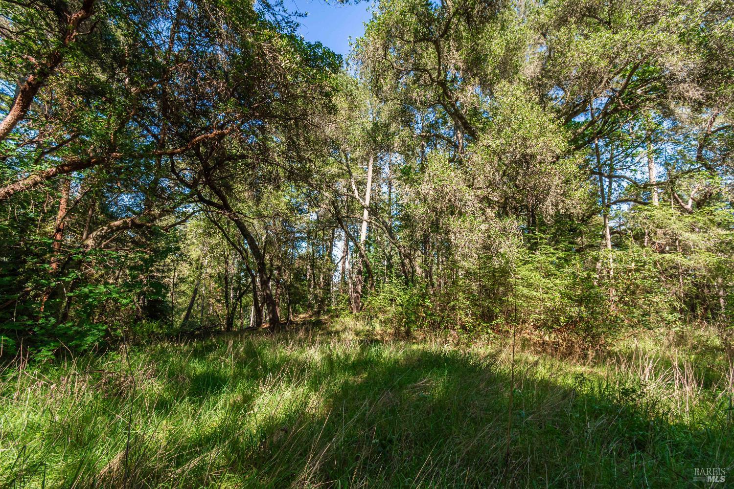 Detail Gallery Image 43 of 98 For 0 Dry Creek Rd, Napa,  CA 94558 - – Beds | – Baths