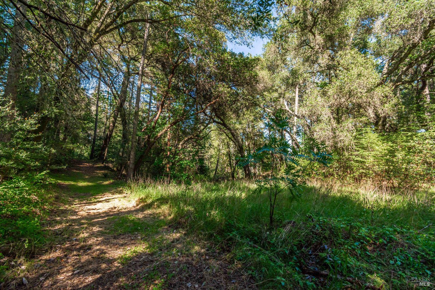 Detail Gallery Image 42 of 98 For 0 Dry Creek Rd, Napa,  CA 94558 - – Beds | – Baths