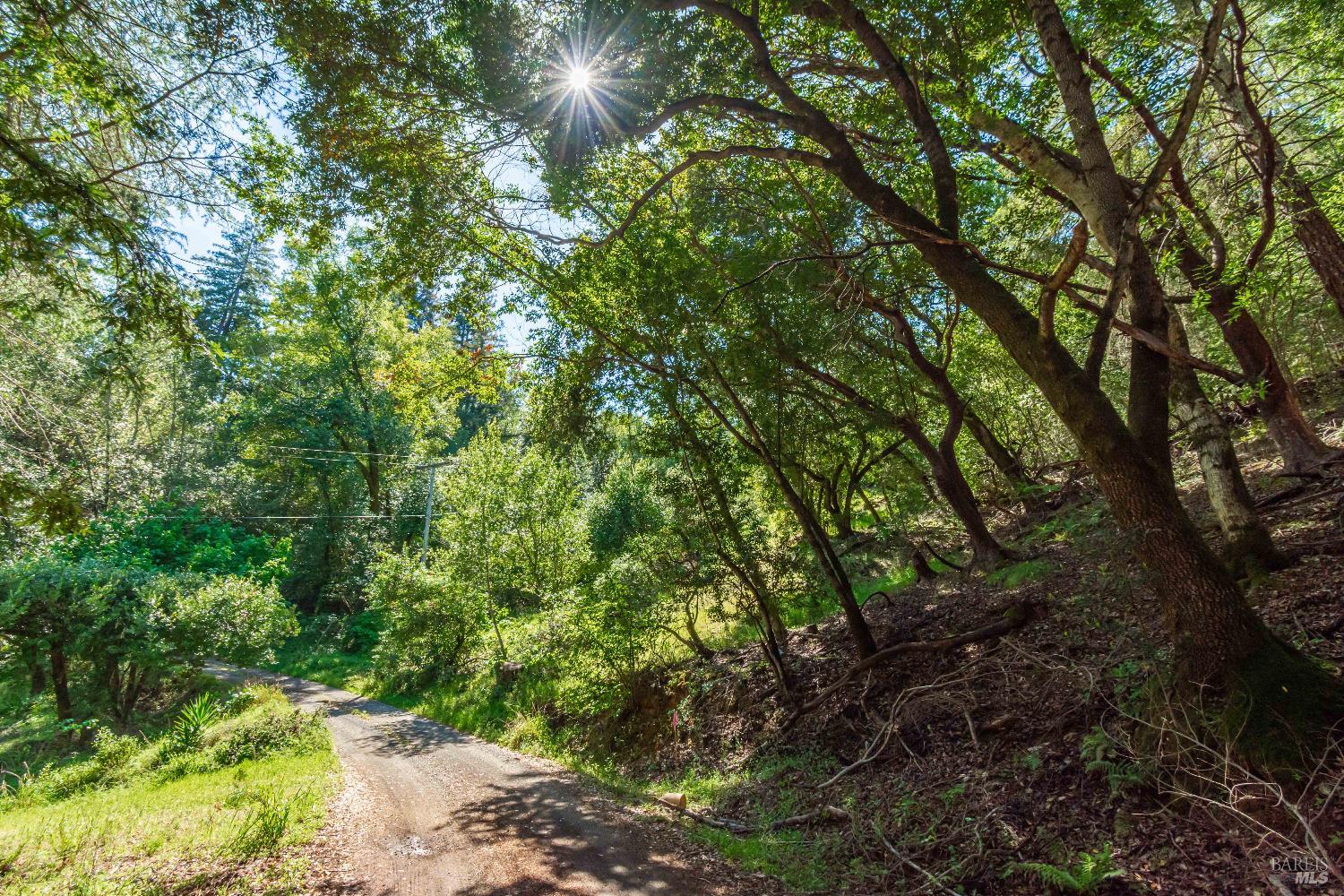 Detail Gallery Image 29 of 98 For 0 Dry Creek Rd, Napa,  CA 94558 - – Beds | – Baths