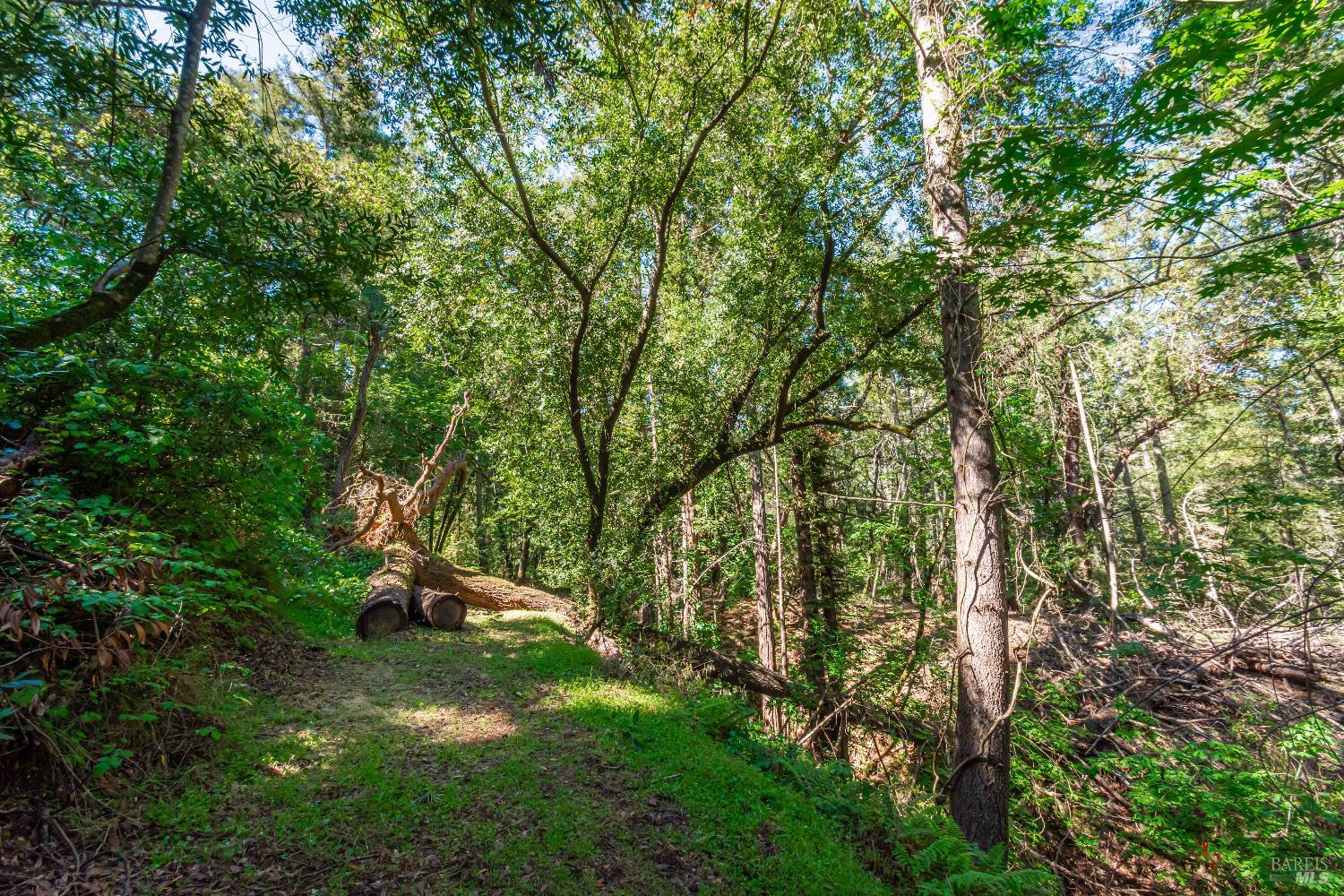 Detail Gallery Image 38 of 98 For 0 Dry Creek Rd, Napa,  CA 94558 - – Beds | – Baths