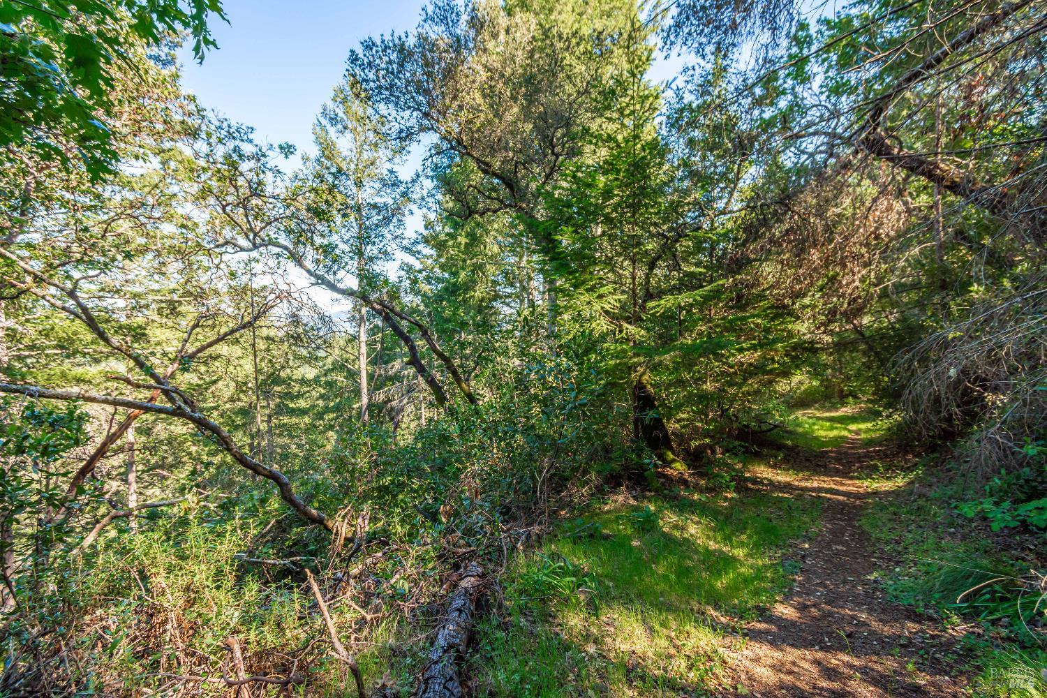 Detail Gallery Image 71 of 98 For 0 Dry Creek Rd, Napa,  CA 94558 - – Beds | – Baths