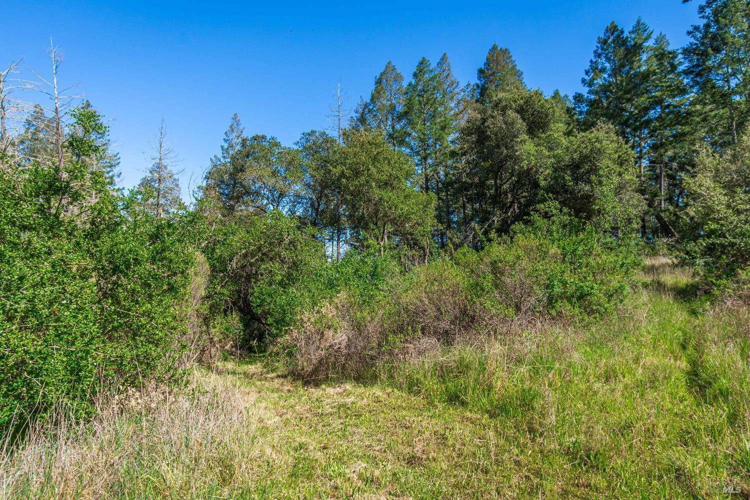 Detail Gallery Image 54 of 98 For 0 Dry Creek Rd, Napa,  CA 94558 - – Beds | – Baths