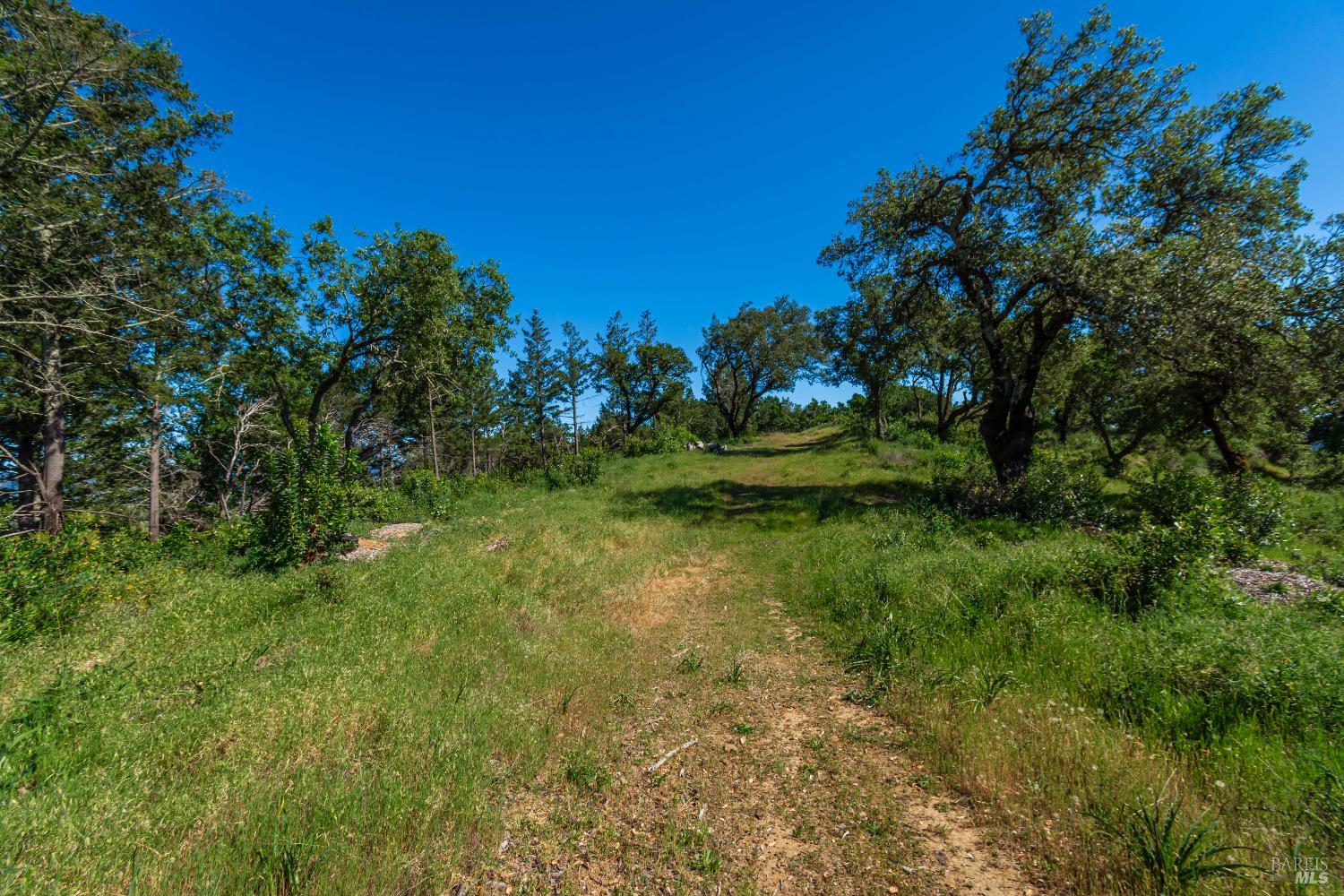 Detail Gallery Image 86 of 98 For 0 Dry Creek Rd, Napa,  CA 94558 - – Beds | – Baths