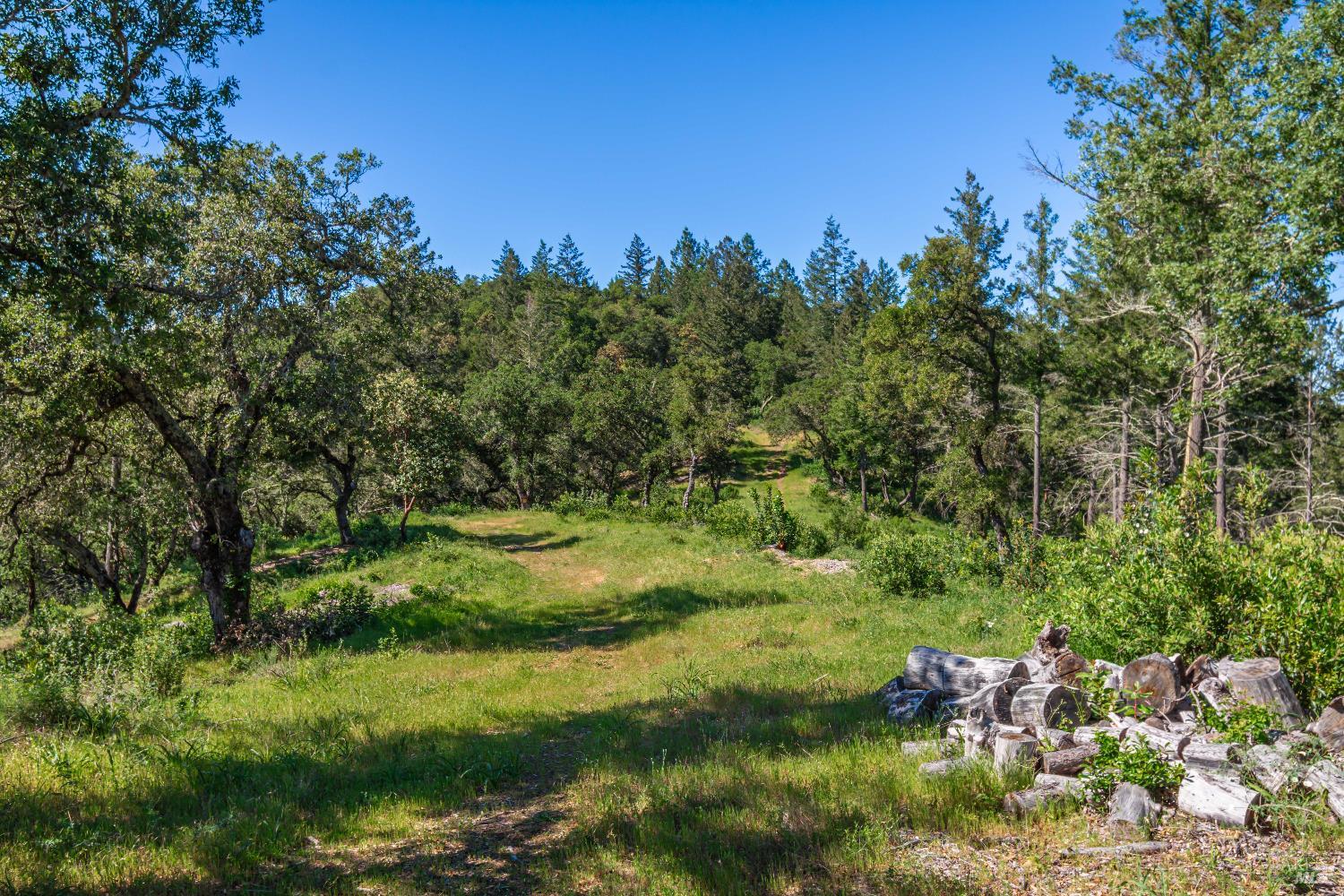 Detail Gallery Image 91 of 98 For 0 Dry Creek Rd, Napa,  CA 94558 - – Beds | – Baths