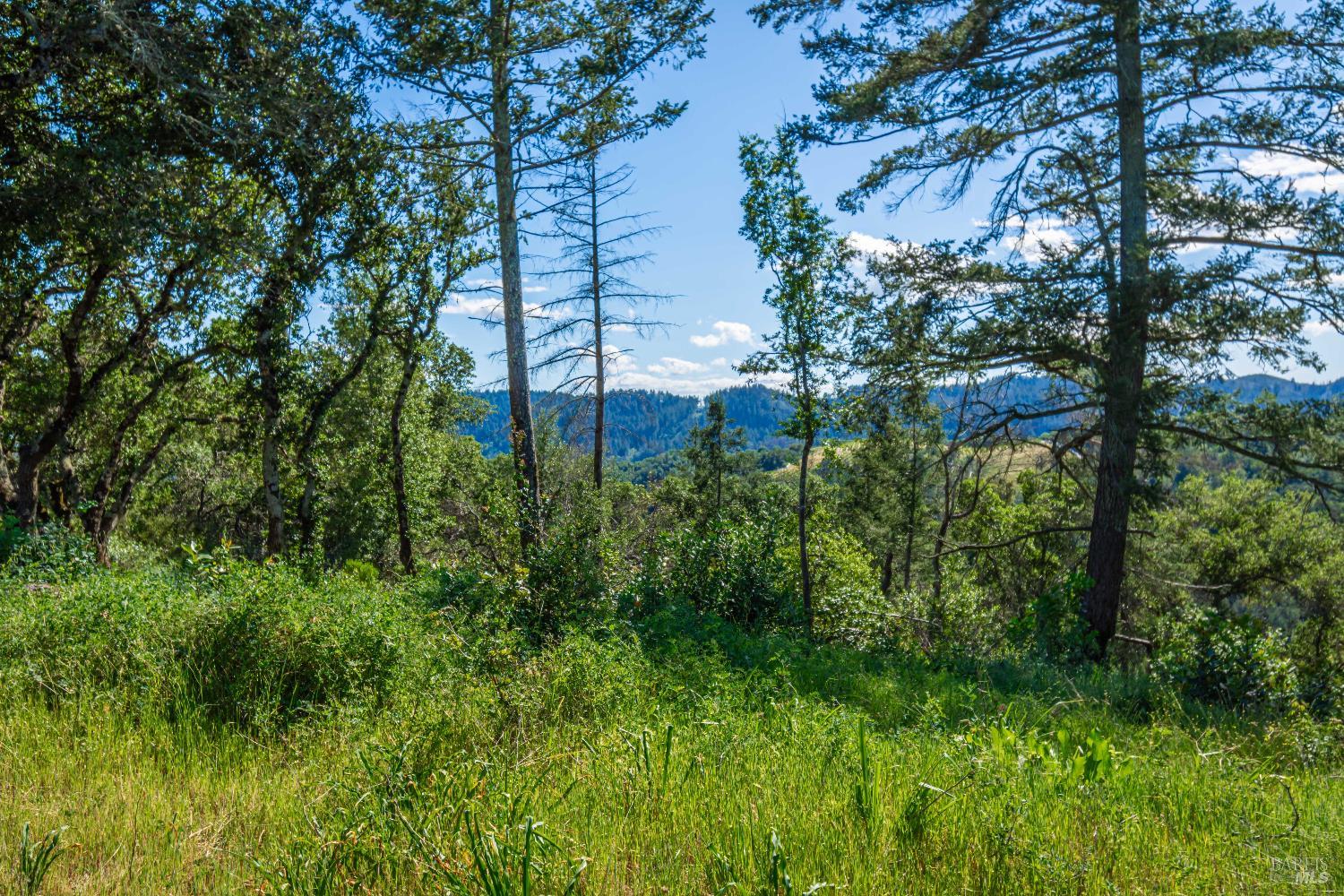 Detail Gallery Image 82 of 98 For 0 Dry Creek Rd, Napa,  CA 94558 - – Beds | – Baths