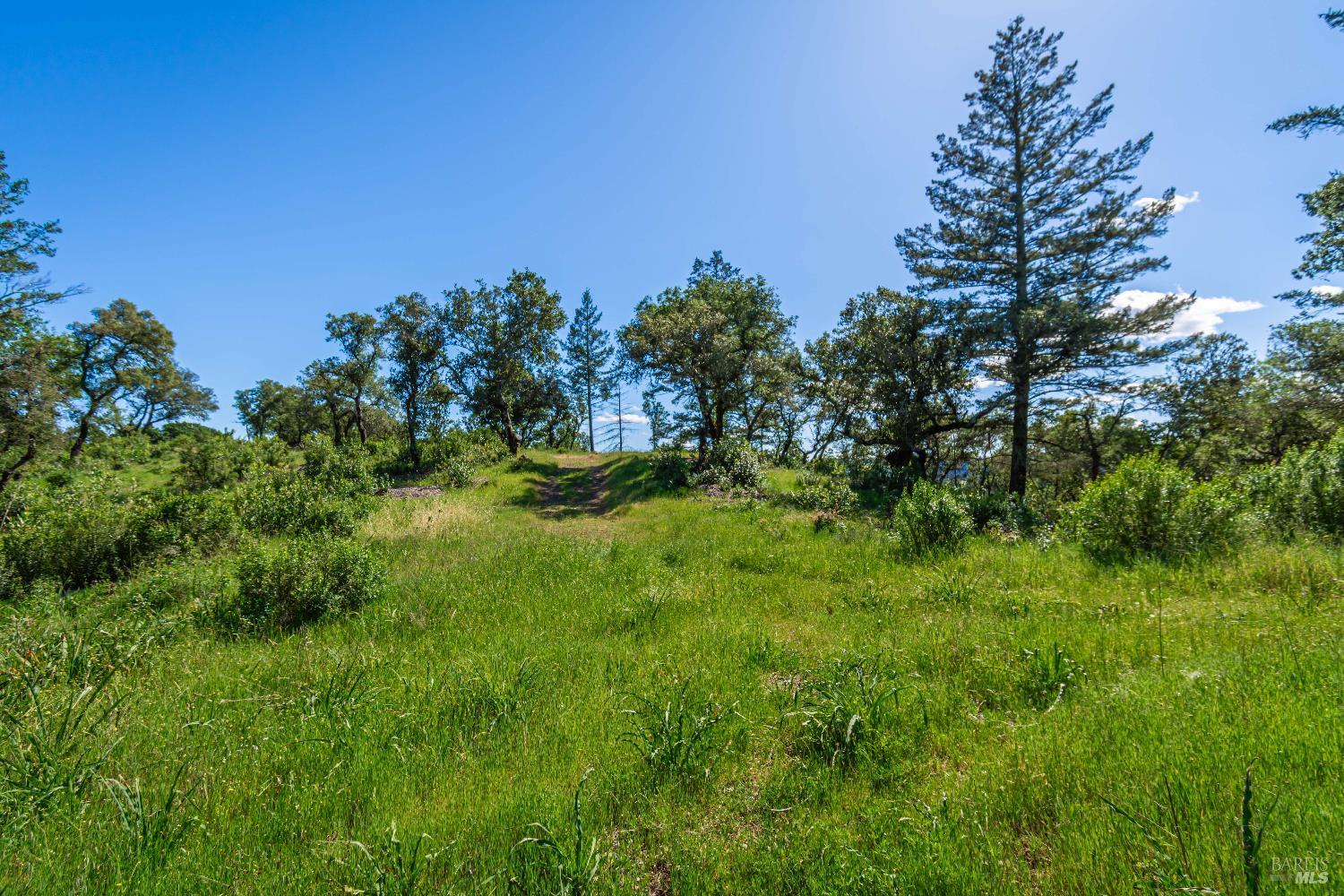 Detail Gallery Image 77 of 98 For 0 Dry Creek Rd, Napa,  CA 94558 - – Beds | – Baths