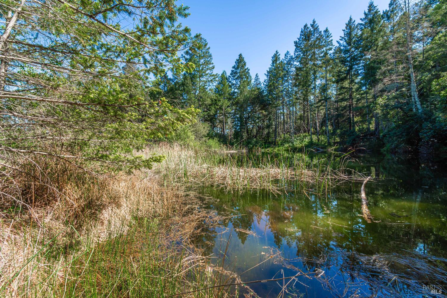 Detail Gallery Image 58 of 98 For 0 Dry Creek Rd, Napa,  CA 94558 - – Beds | – Baths