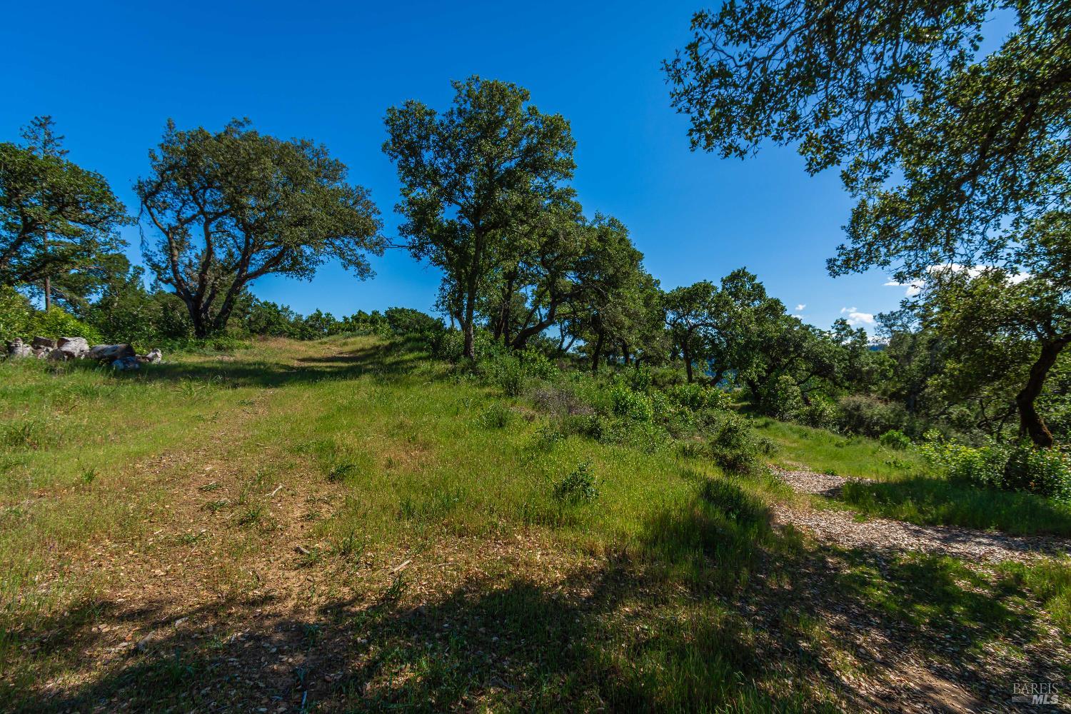 Detail Gallery Image 88 of 98 For 0 Dry Creek Rd, Napa,  CA 94558 - – Beds | – Baths