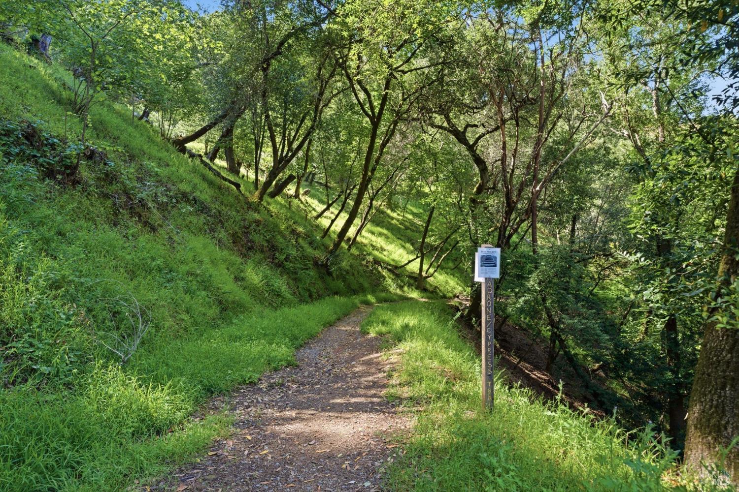 Detail Gallery Image 44 of 61 For 128 Madrone Rd, Fairfax,  CA 94930 - 4 Beds | 2 Baths