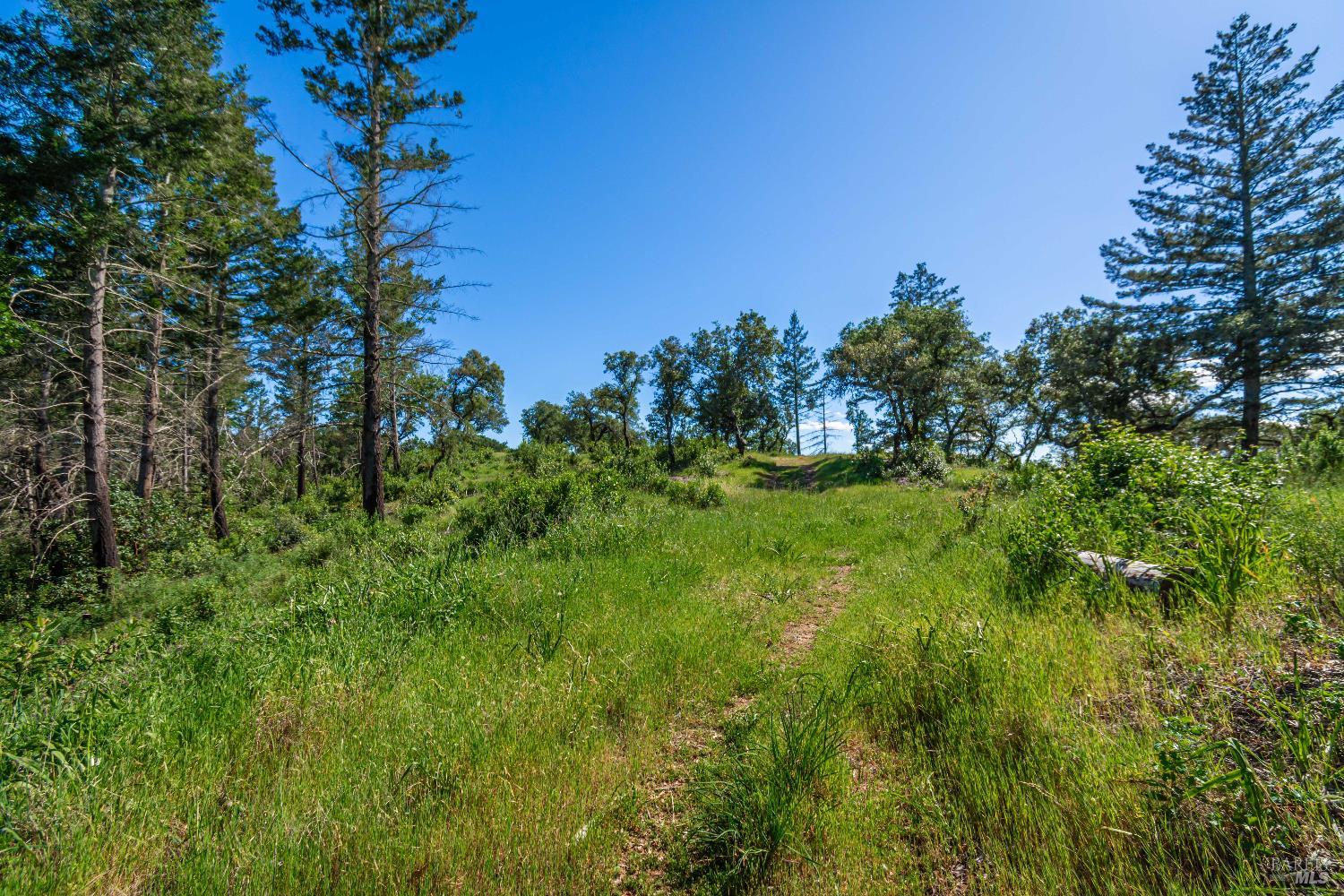 Detail Gallery Image 76 of 98 For 0 Dry Creek Rd, Napa,  CA 94558 - – Beds | – Baths