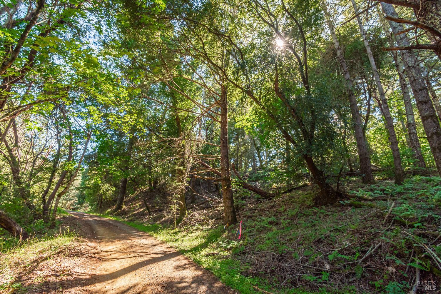 Detail Gallery Image 28 of 98 For 0 Dry Creek Rd, Napa,  CA 94558 - – Beds | – Baths