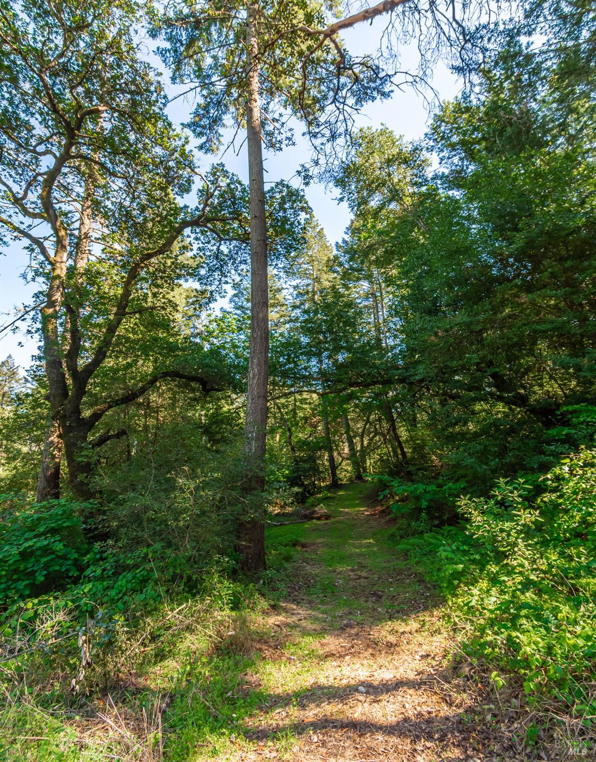 Detail Gallery Image 47 of 98 For 0 Dry Creek Rd, Napa,  CA 94558 - – Beds | – Baths