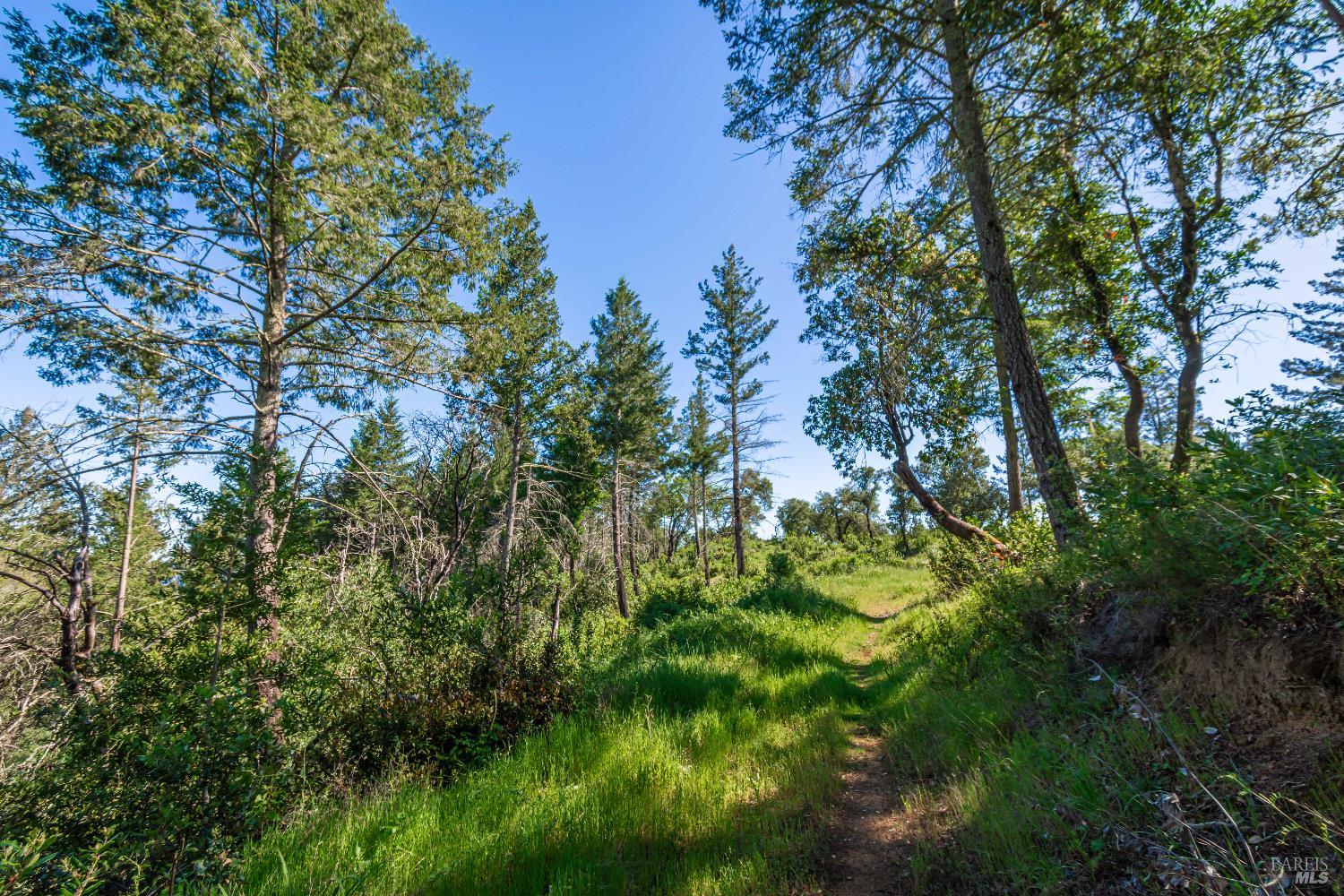 Detail Gallery Image 75 of 98 For 0 Dry Creek Rd, Napa,  CA 94558 - – Beds | – Baths