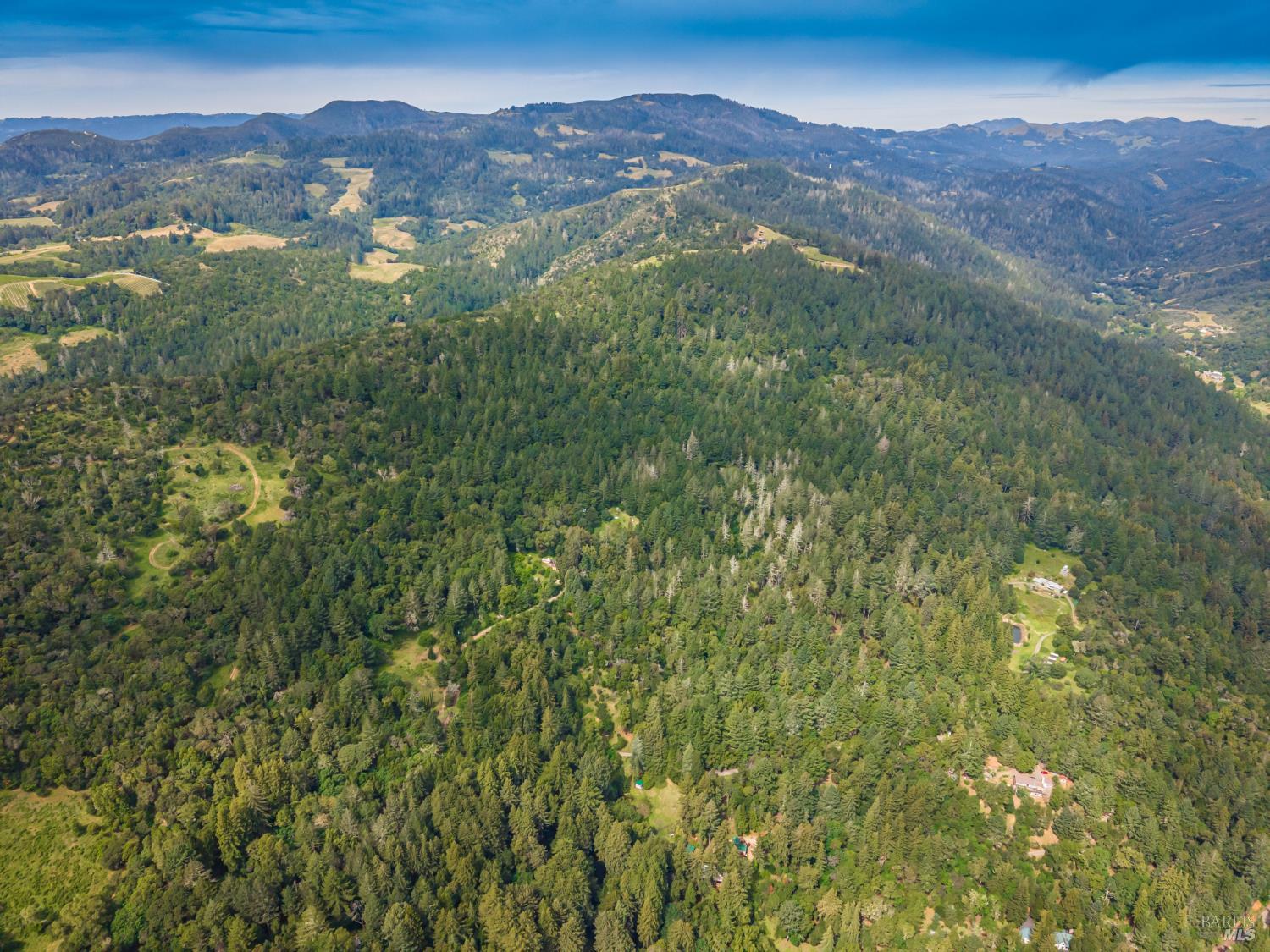 Detail Gallery Image 20 of 98 For 0 Dry Creek Rd, Napa,  CA 94558 - – Beds | – Baths