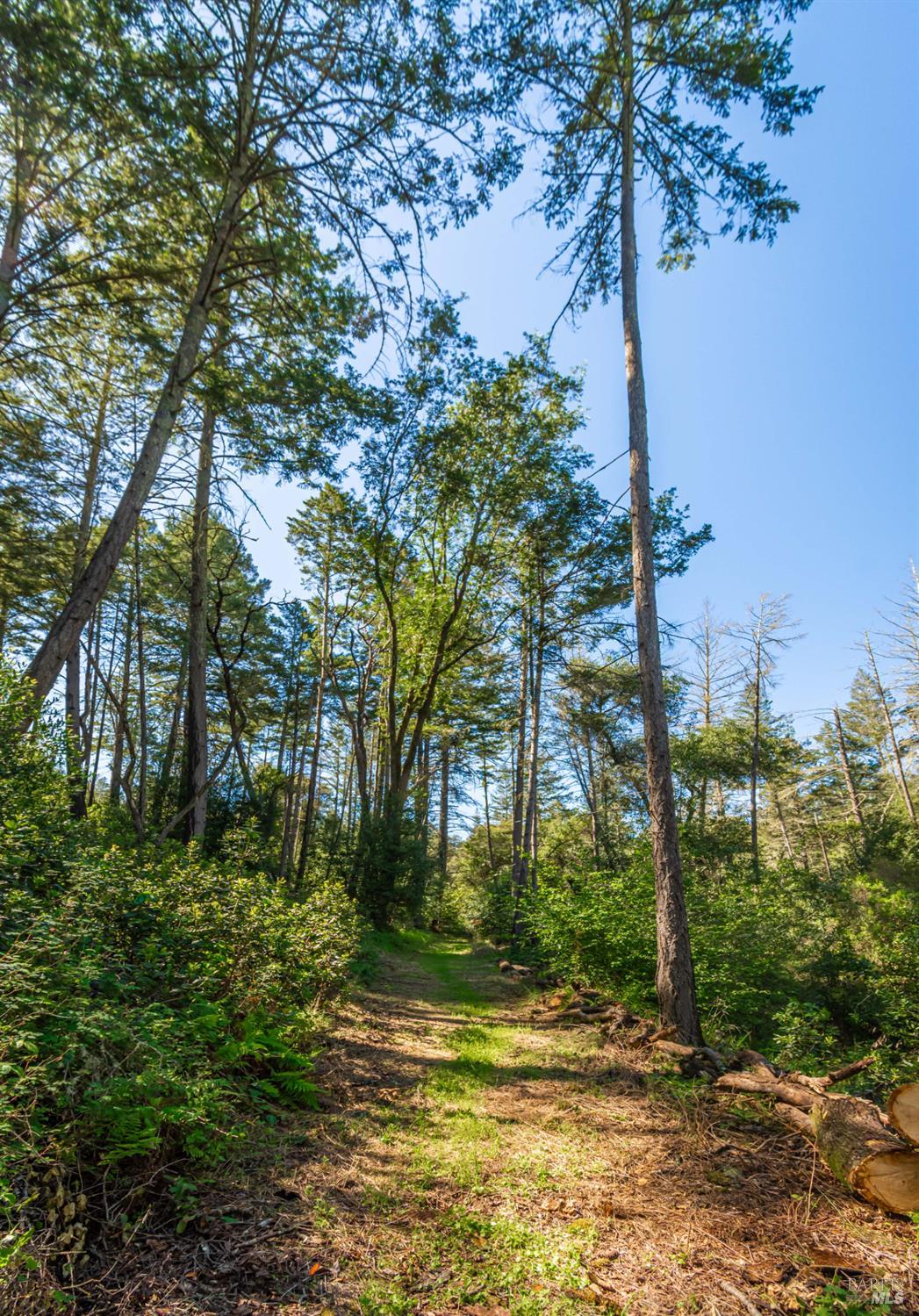 Detail Gallery Image 48 of 98 For 0 Dry Creek Rd, Napa,  CA 94558 - – Beds | – Baths