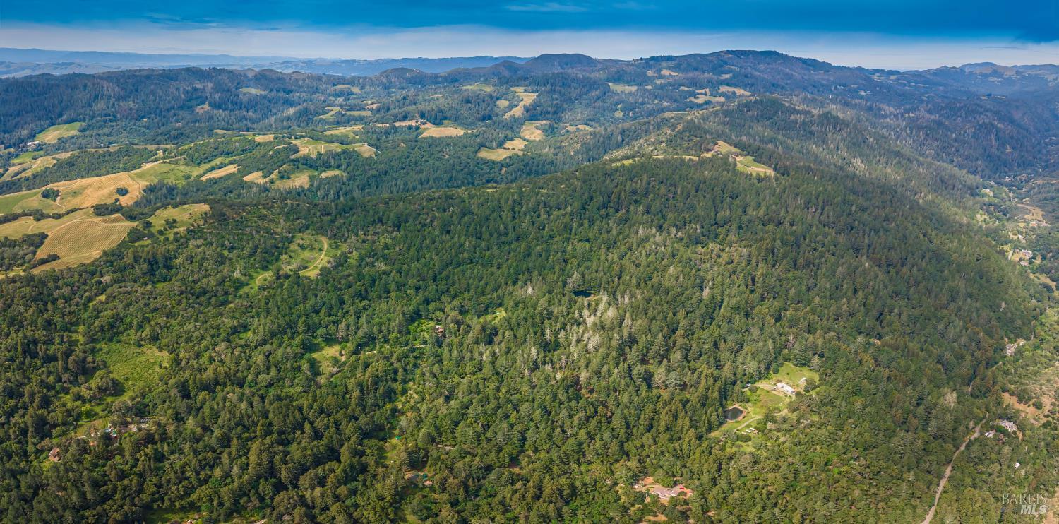 Detail Gallery Image 19 of 98 For 0 Dry Creek Rd, Napa,  CA 94558 - – Beds | – Baths