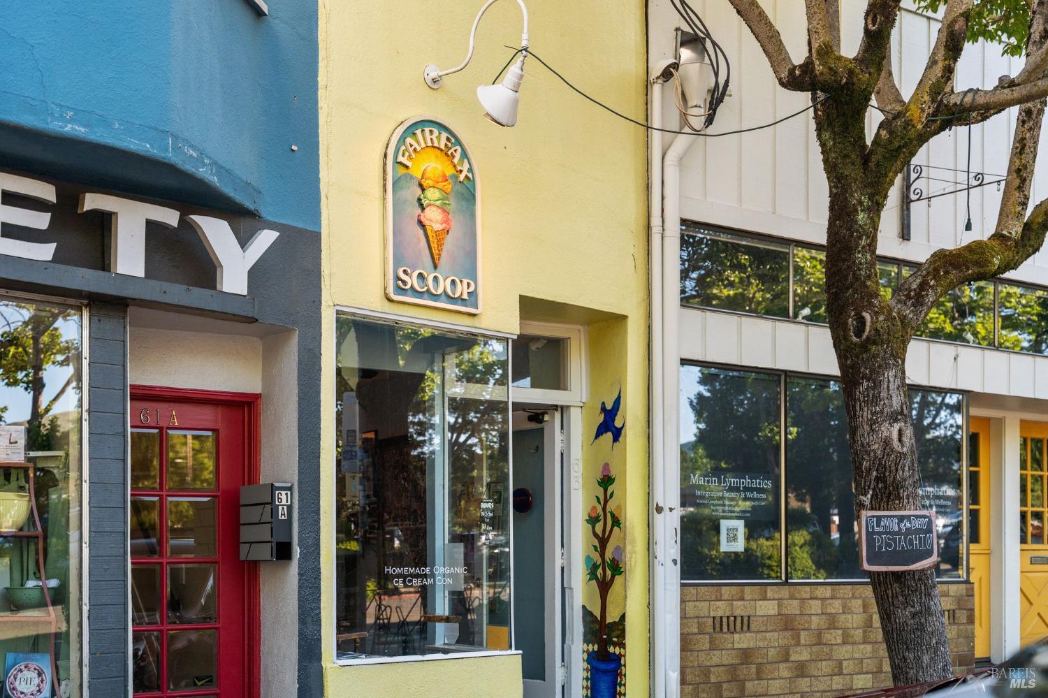 Detail Gallery Image 53 of 61 For 128 Madrone Rd, Fairfax,  CA 94930 - 4 Beds | 2 Baths