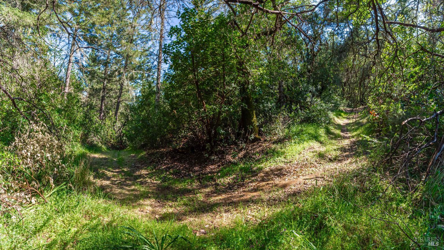 Detail Gallery Image 67 of 98 For 0 Dry Creek Rd, Napa,  CA 94558 - – Beds | – Baths