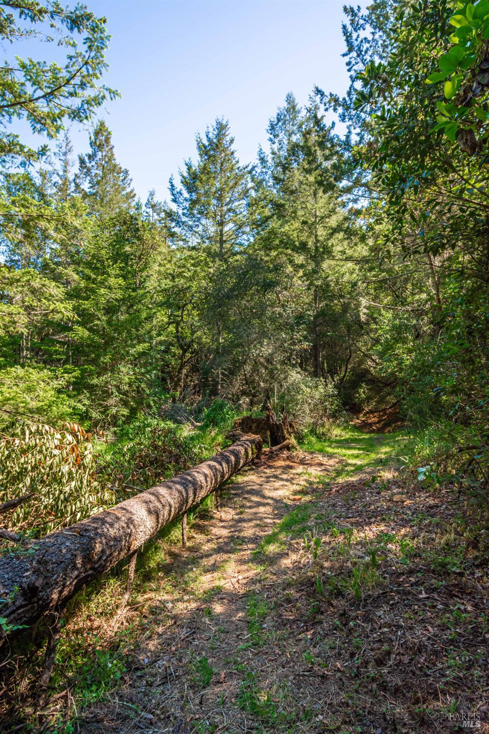 Detail Gallery Image 66 of 98 For 0 Dry Creek Rd, Napa,  CA 94558 - – Beds | – Baths