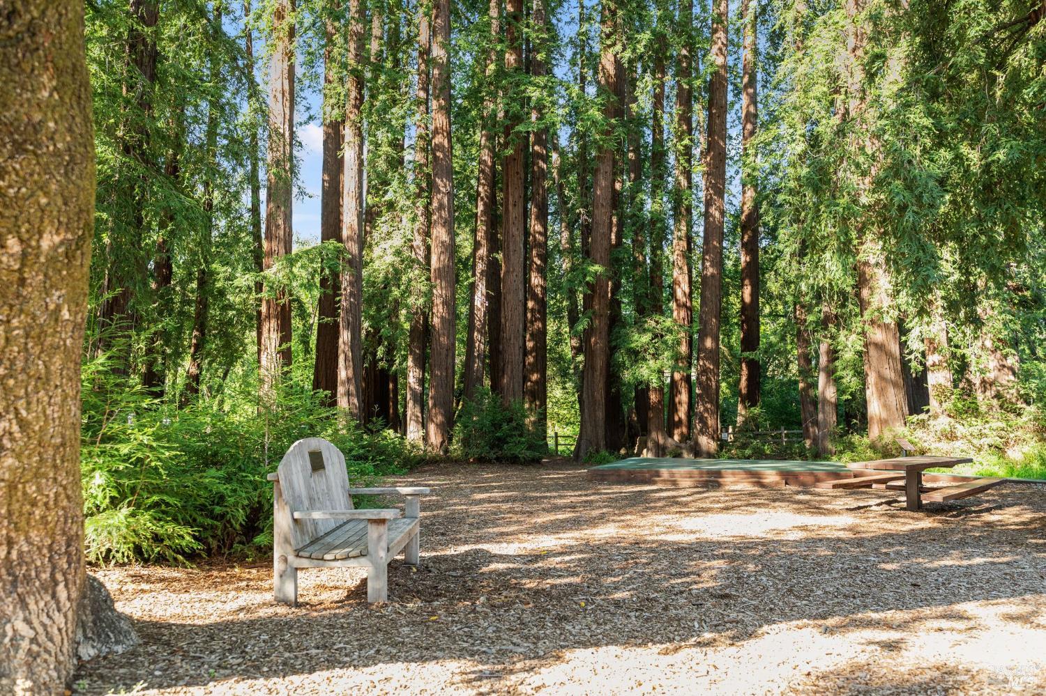 Detail Gallery Image 49 of 61 For 128 Madrone Rd, Fairfax,  CA 94930 - 4 Beds | 2 Baths