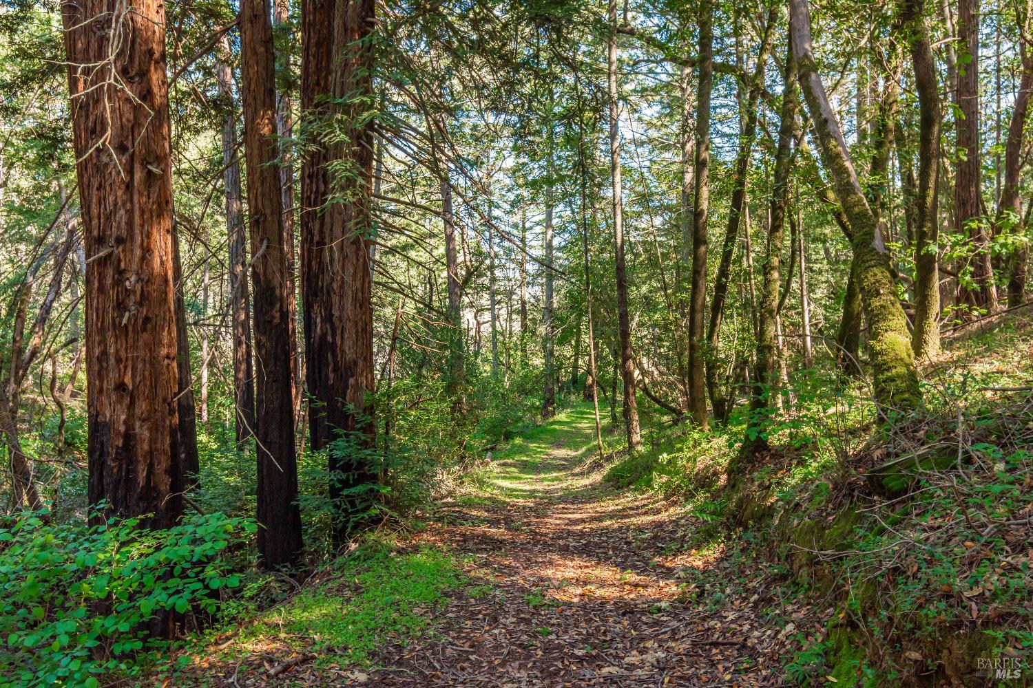 Detail Gallery Image 65 of 98 For 0 Dry Creek Rd, Napa,  CA 94558 - – Beds | – Baths