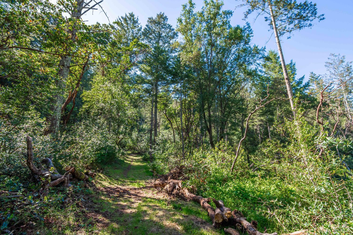 Detail Gallery Image 69 of 98 For 0 Dry Creek Rd, Napa,  CA 94558 - – Beds | – Baths