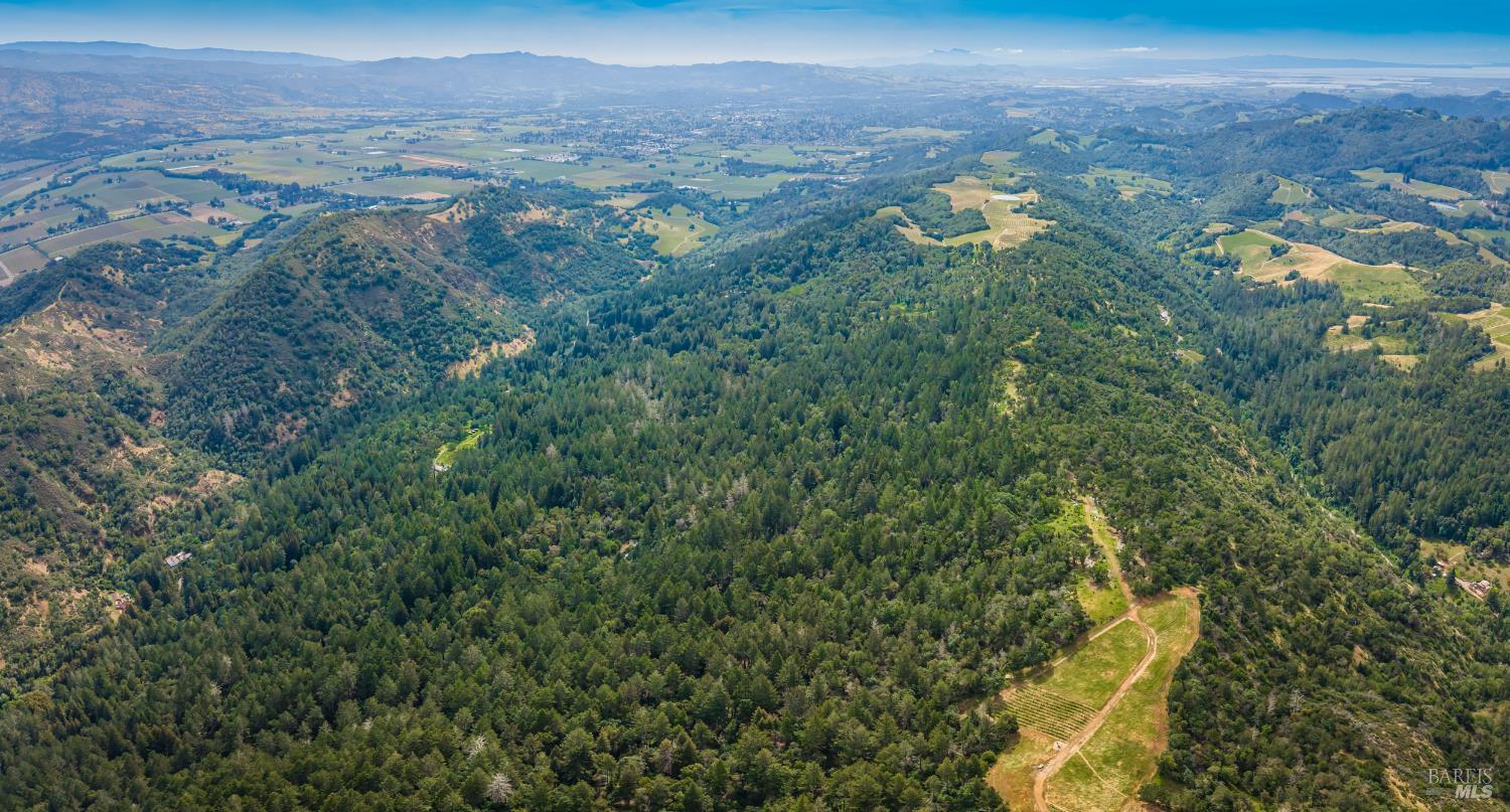 Detail Gallery Image 13 of 98 For 0 Dry Creek Rd, Napa,  CA 94558 - – Beds | – Baths