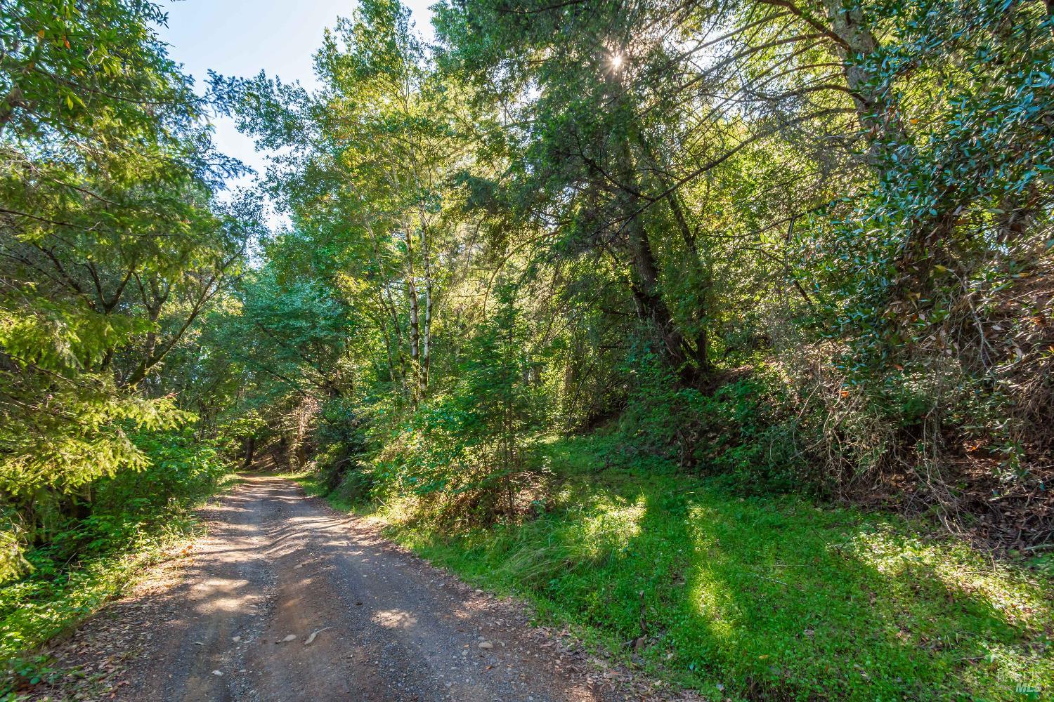 Detail Gallery Image 27 of 98 For 0 Dry Creek Rd, Napa,  CA 94558 - – Beds | – Baths