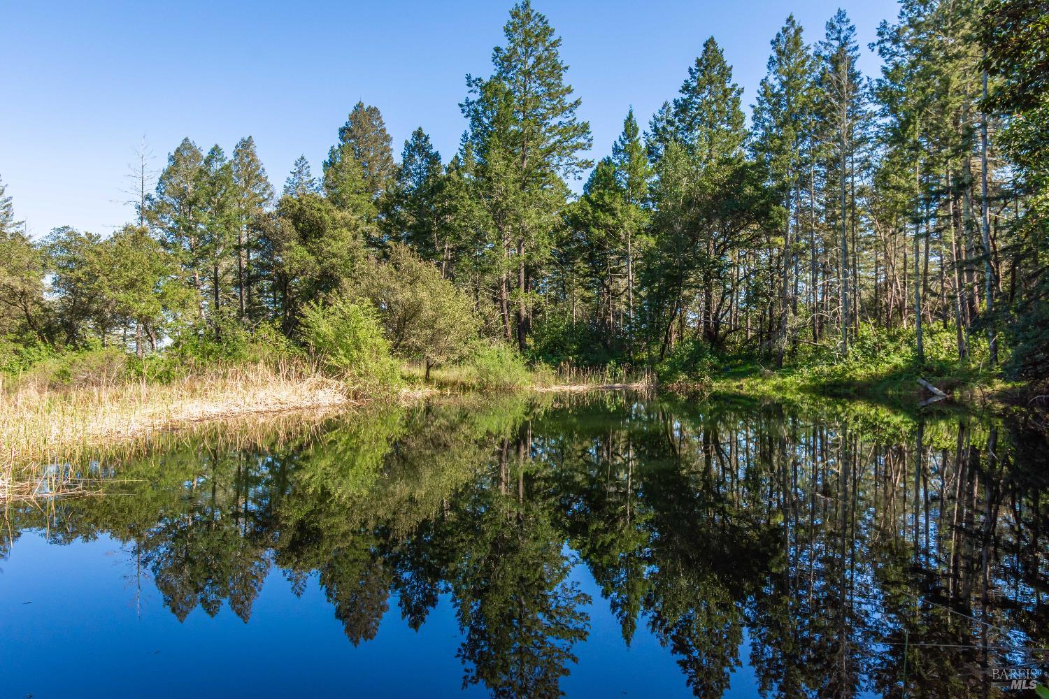 Detail Gallery Image 63 of 98 For 0 Dry Creek Rd, Napa,  CA 94558 - – Beds | – Baths