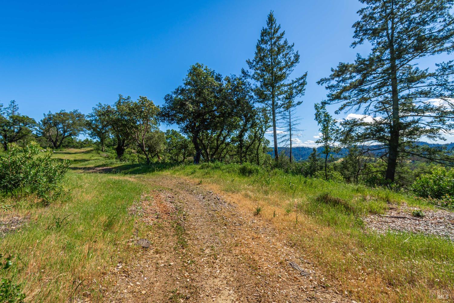 Detail Gallery Image 81 of 98 For 0 Dry Creek Rd, Napa,  CA 94558 - – Beds | – Baths