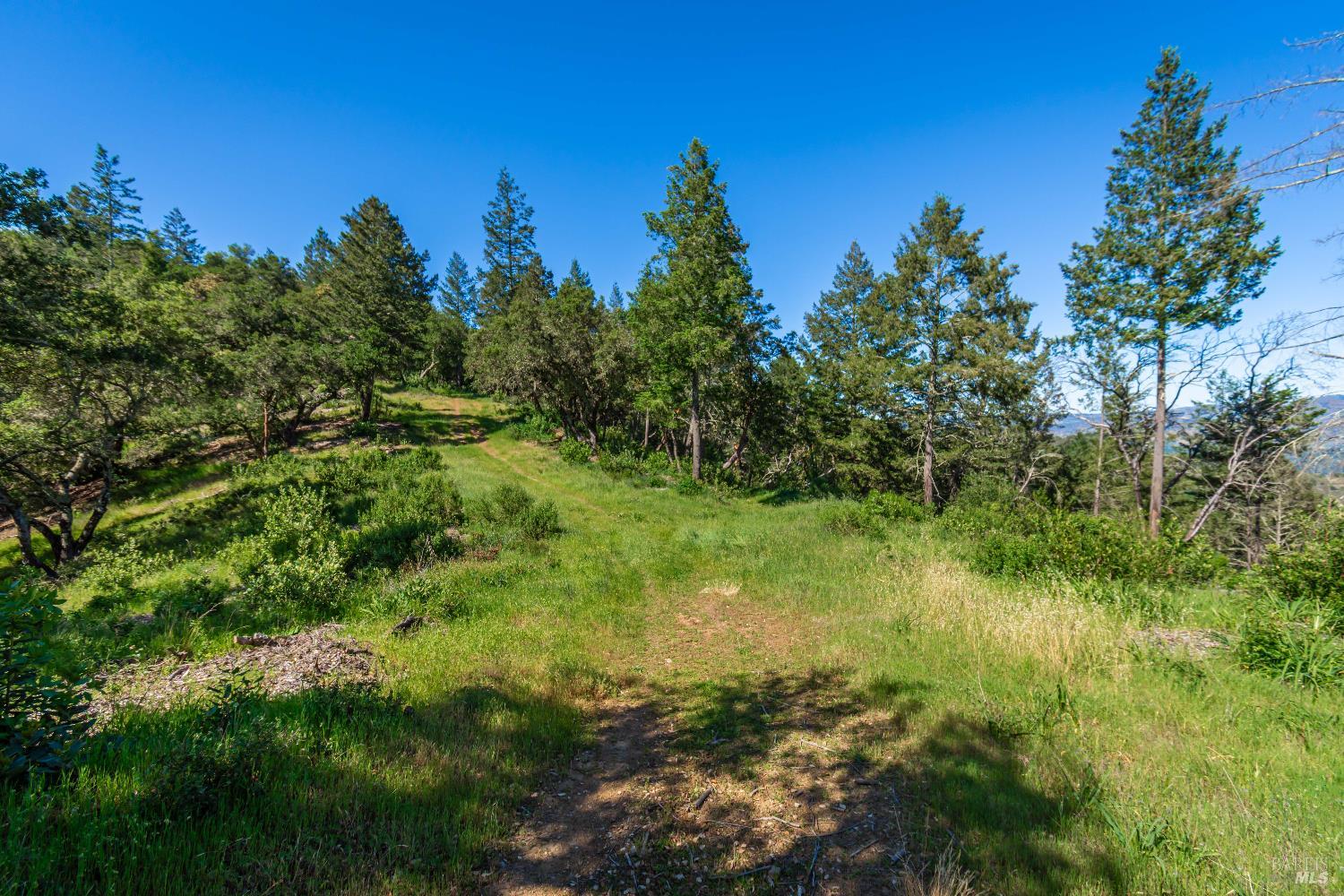 Detail Gallery Image 80 of 98 For 0 Dry Creek Rd, Napa,  CA 94558 - – Beds | – Baths