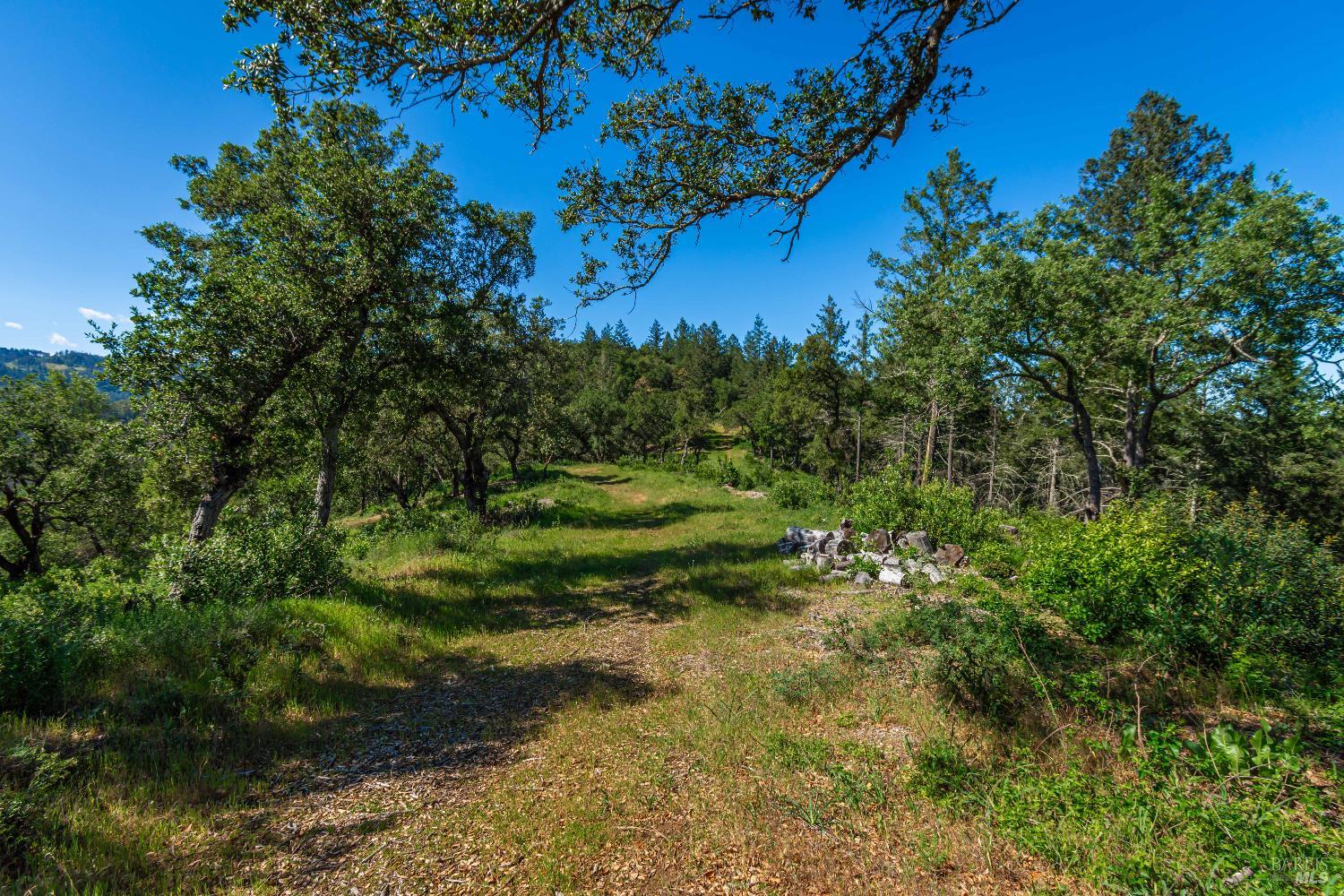 Detail Gallery Image 90 of 98 For 0 Dry Creek Rd, Napa,  CA 94558 - – Beds | – Baths