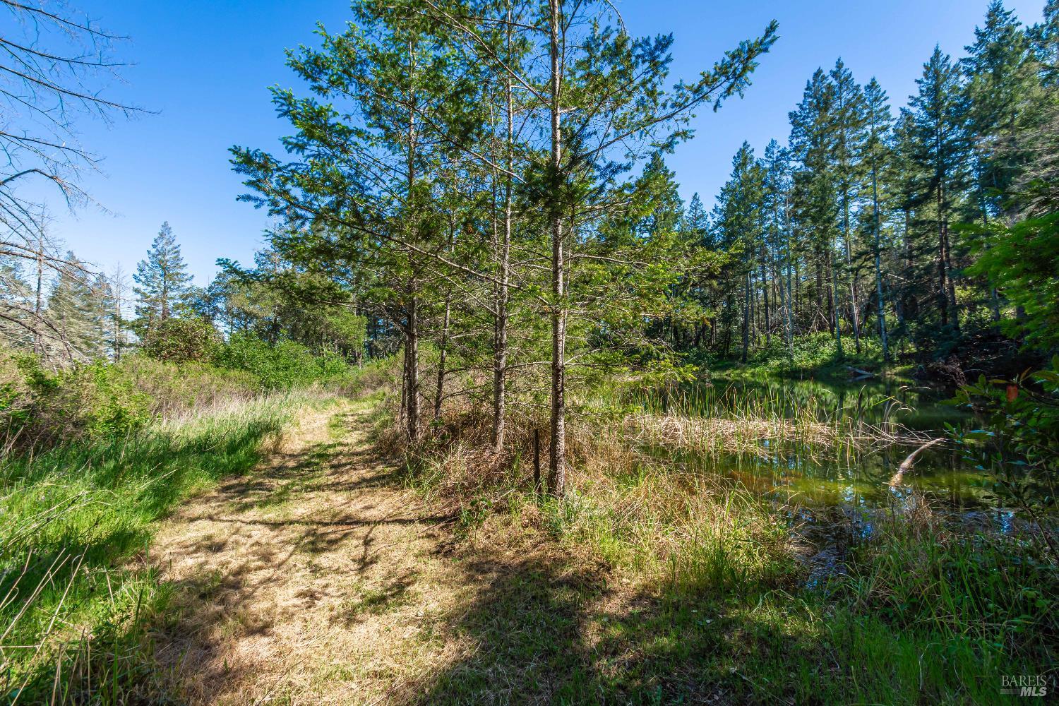 Detail Gallery Image 56 of 98 For 0 Dry Creek Rd, Napa,  CA 94558 - – Beds | – Baths