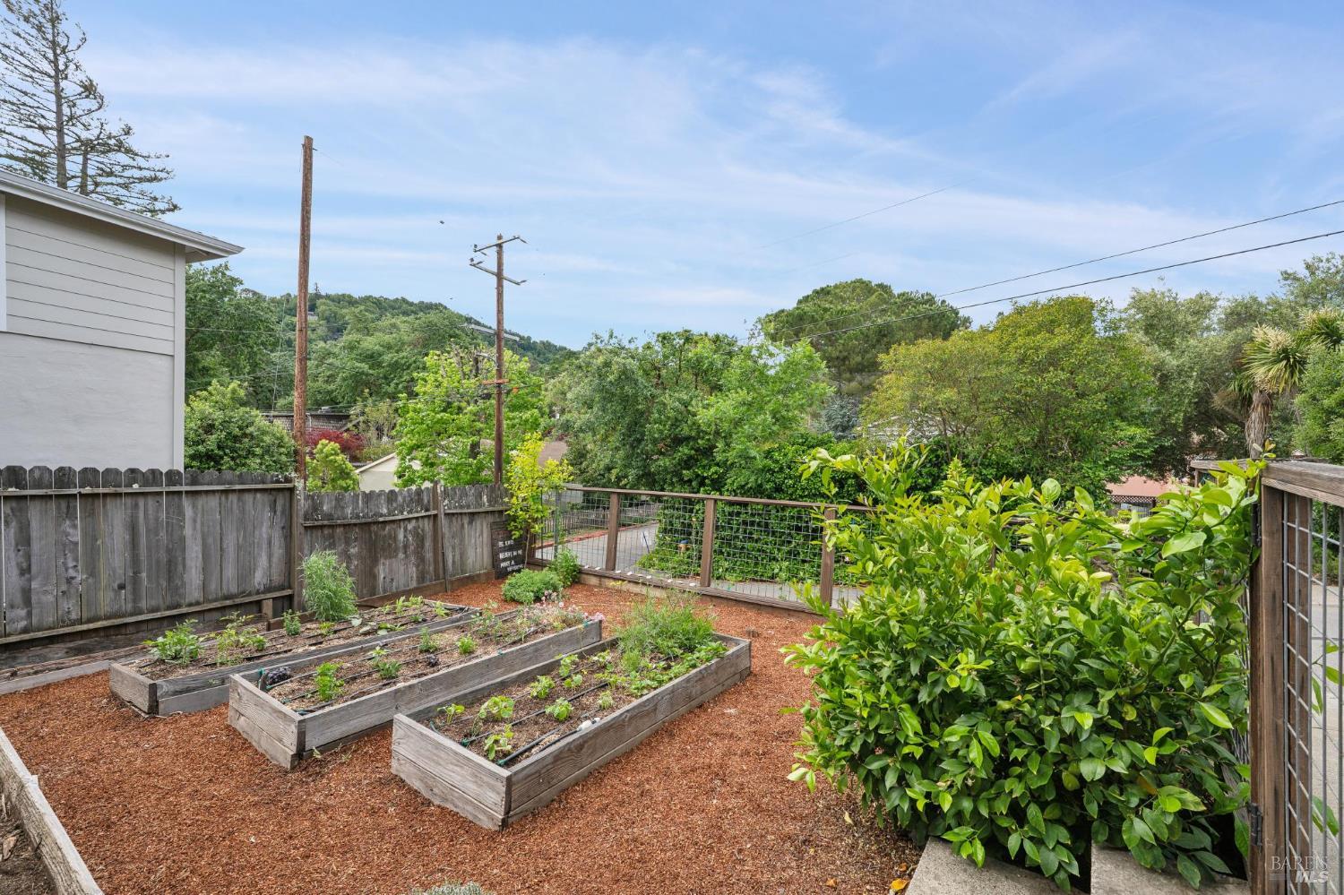 Detail Gallery Image 58 of 71 For 27 Sierra Ave, San Anselmo,  CA 94960 - 3 Beds | 2 Baths