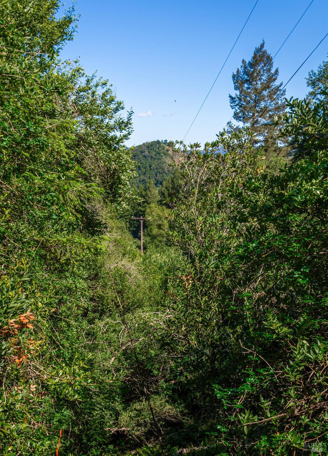 Detail Gallery Image 37 of 98 For 0 Dry Creek Rd, Napa,  CA 94558 - – Beds | – Baths