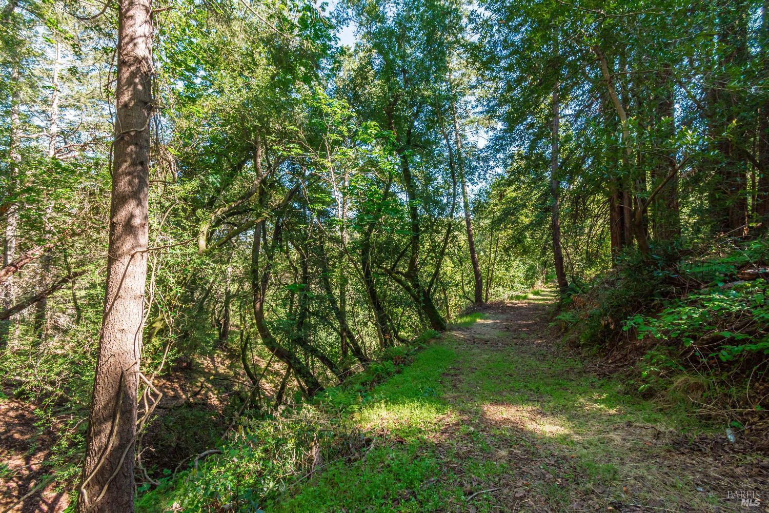 Detail Gallery Image 39 of 98 For 0 Dry Creek Rd, Napa,  CA 94558 - – Beds | – Baths