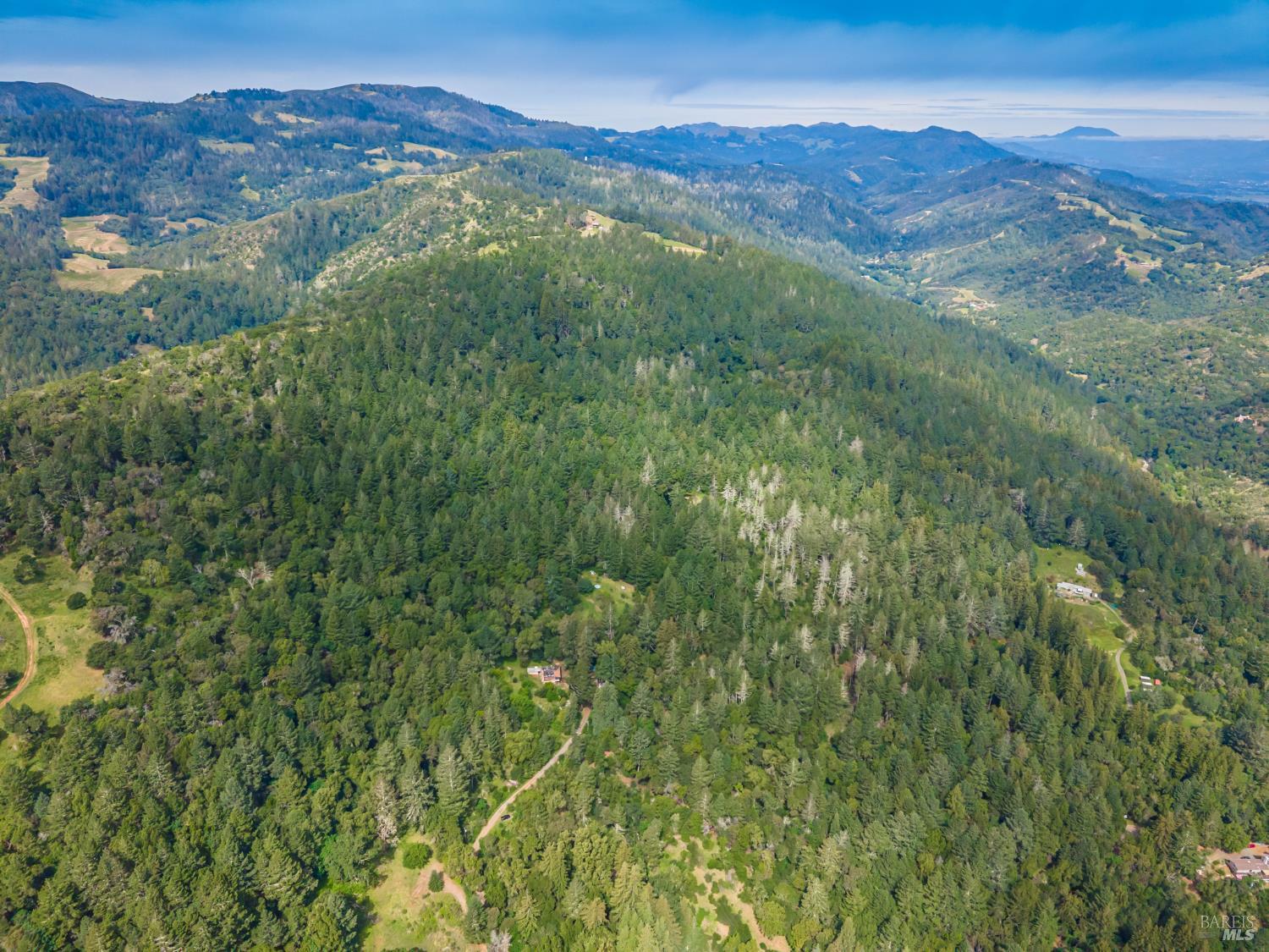 Detail Gallery Image 4 of 98 For 0 Dry Creek Rd, Napa,  CA 94558 - – Beds | – Baths