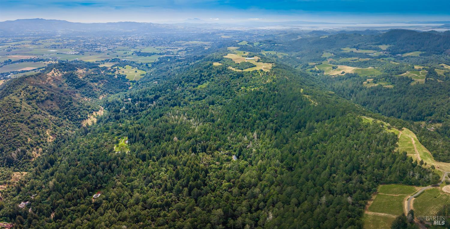 Detail Gallery Image 14 of 98 For 0 Dry Creek Rd, Napa,  CA 94558 - – Beds | – Baths