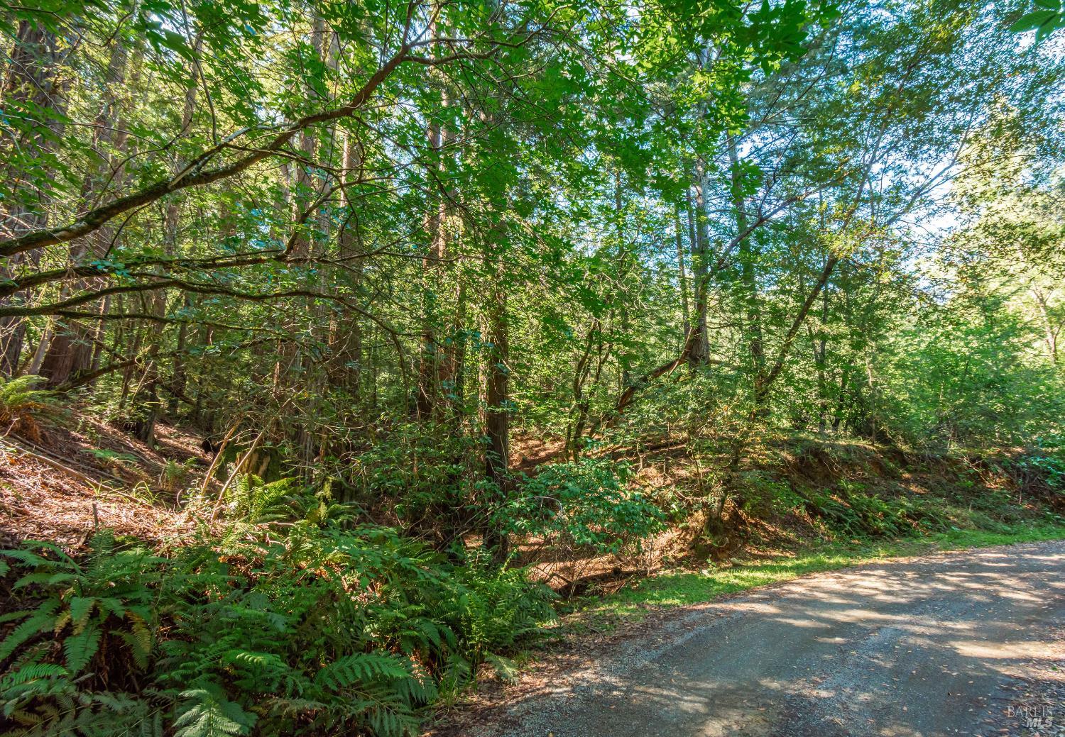 Detail Gallery Image 30 of 98 For 0 Dry Creek Rd, Napa,  CA 94558 - – Beds | – Baths